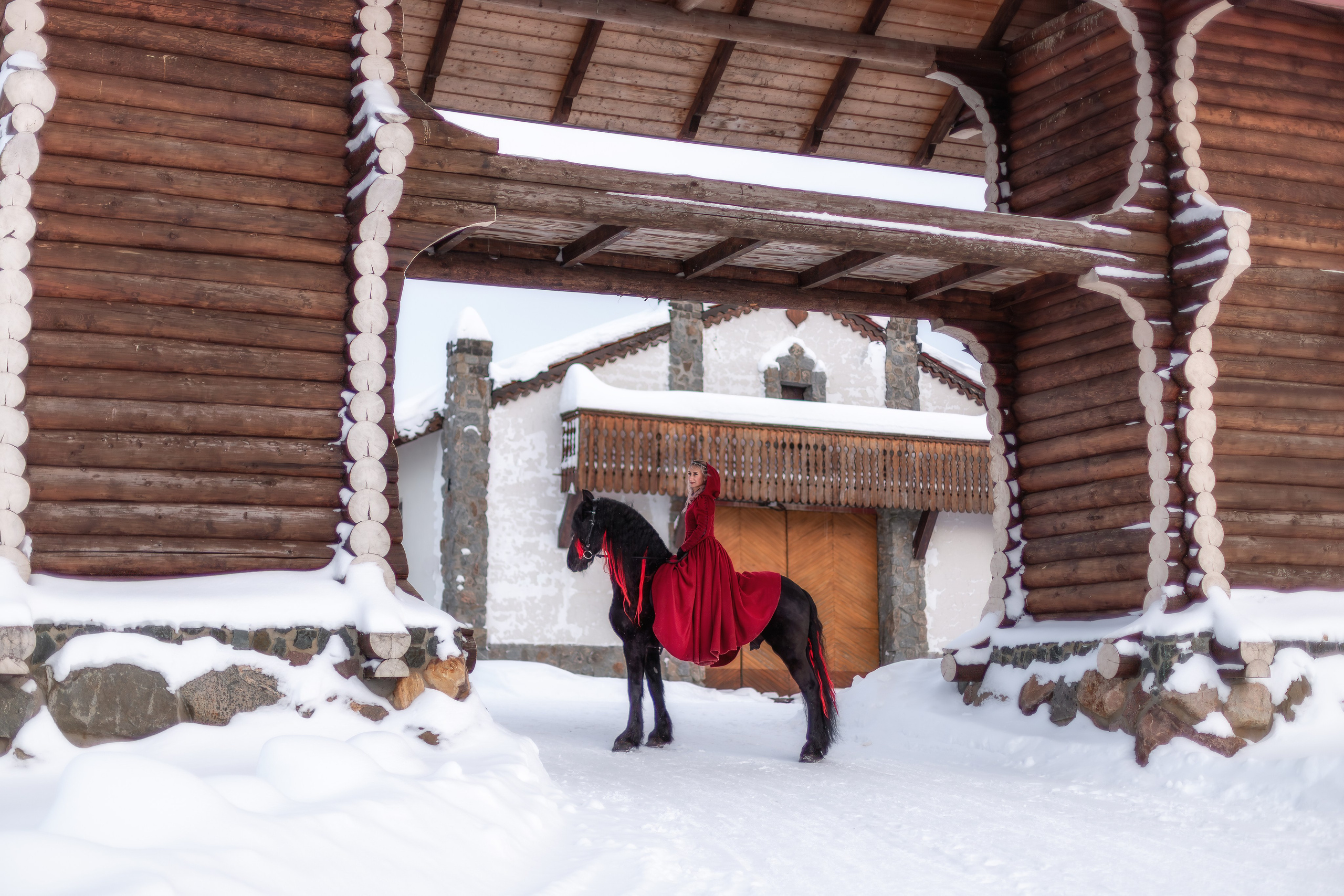 Фотосессия с лошадью зимой. Фотосессии с лошадьми в Москве от фотографа Кутейниковой Светланы