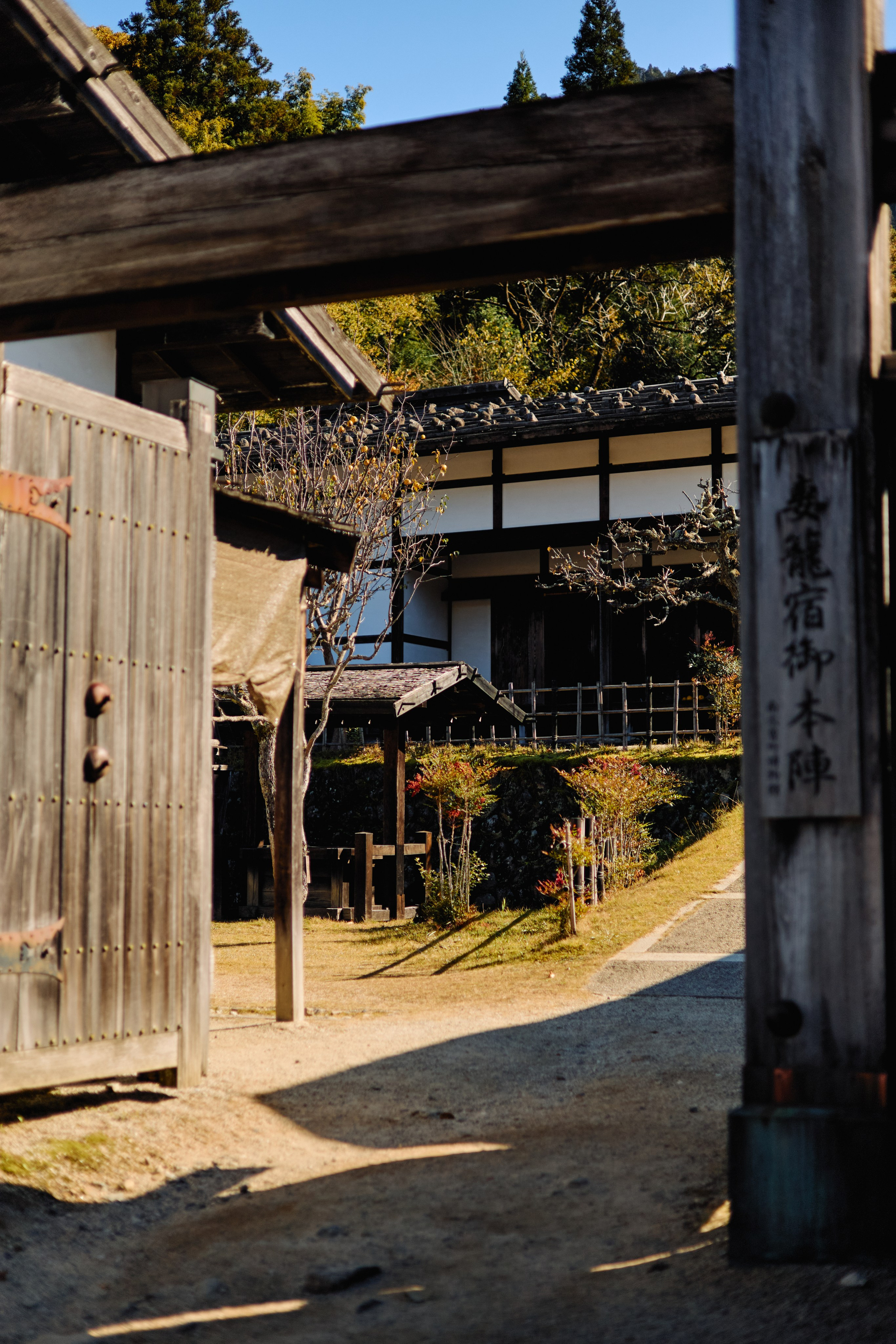 Япония. Профессиональный Фотограф во Владимире, в Москве и в Суздале — Полина Романычева
