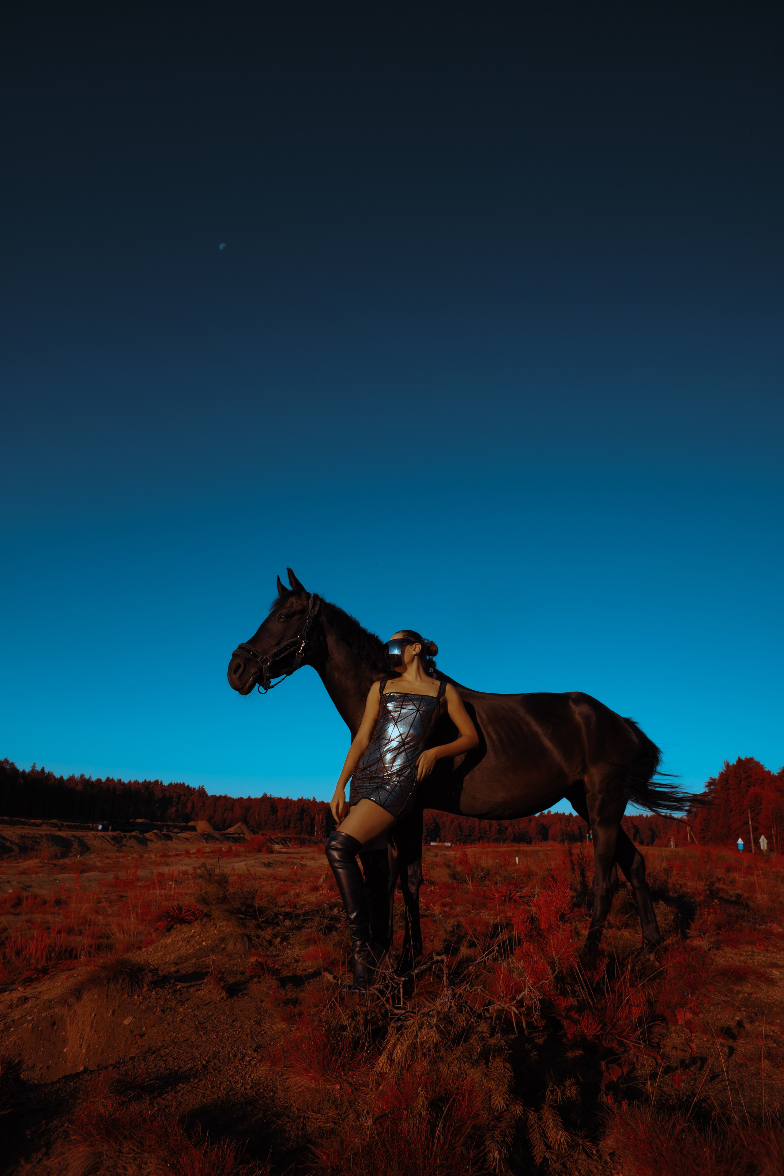 Первый контакт. Конный фотограф в Санкт-Петербурге Анна Лебедева