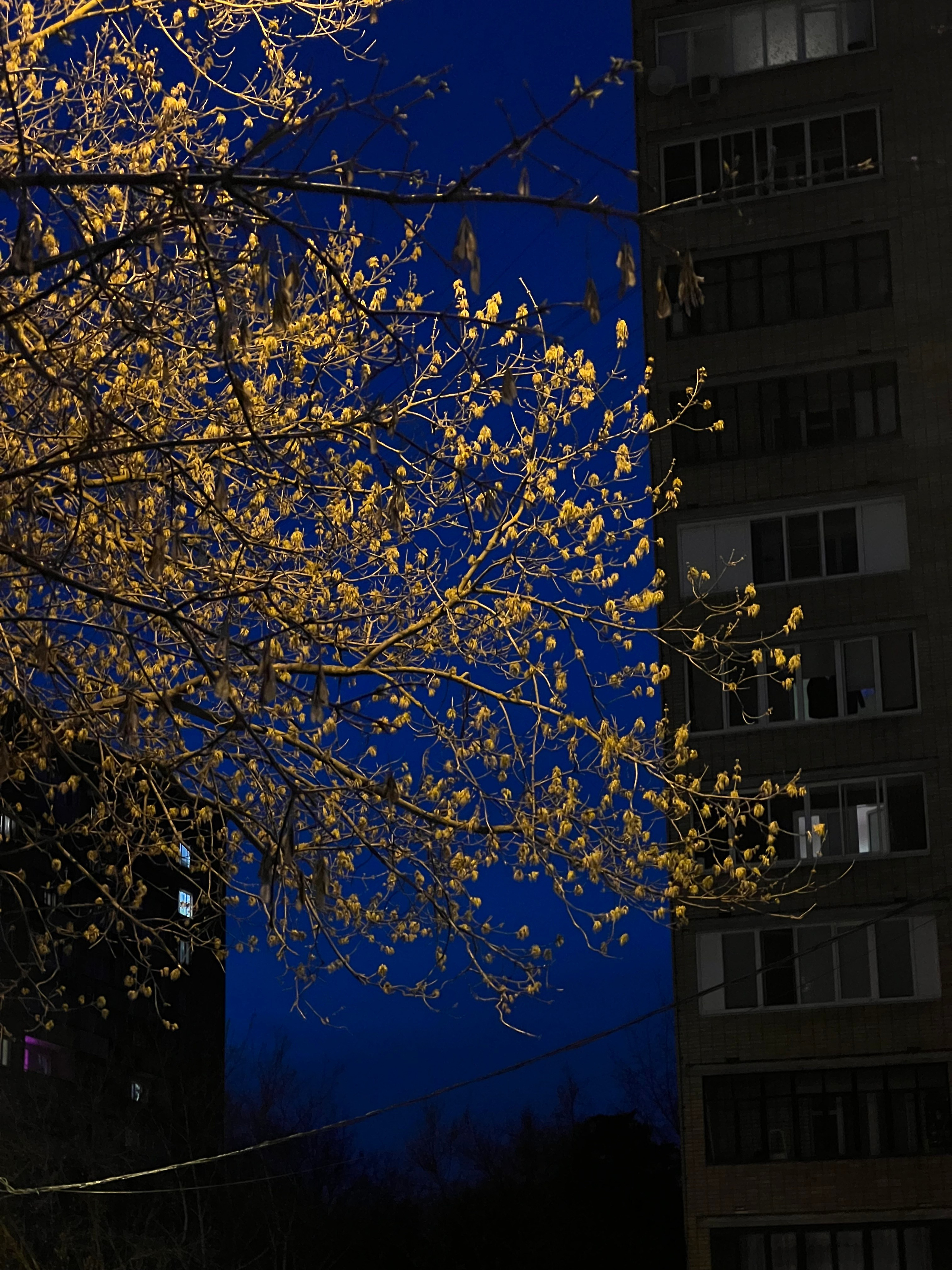 Fragments. Artem Khusainov