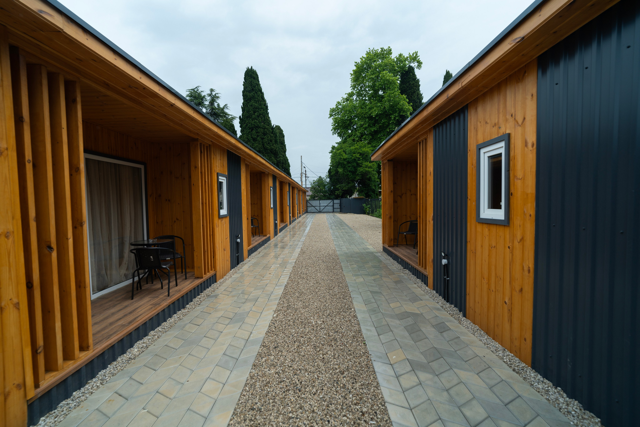 Дионис. Главная