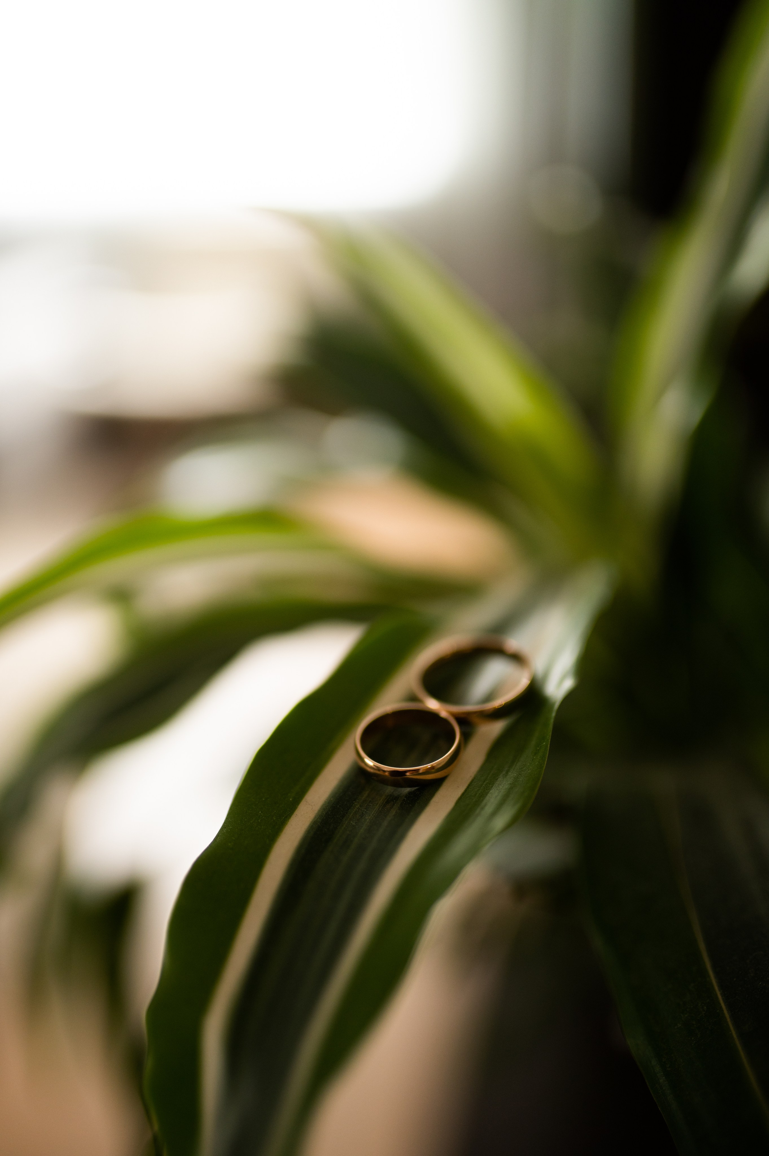 Владислав и Мария 27.09.25 Свадебный день. Свадебный и семейный фотограф Волгоград Анастасия Садовникова