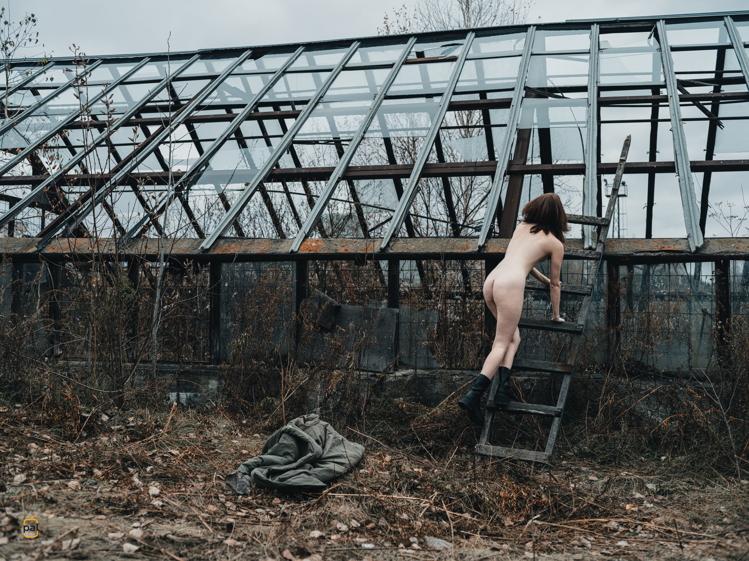 Цифровые снимки. Фотограф Павел Корчагин