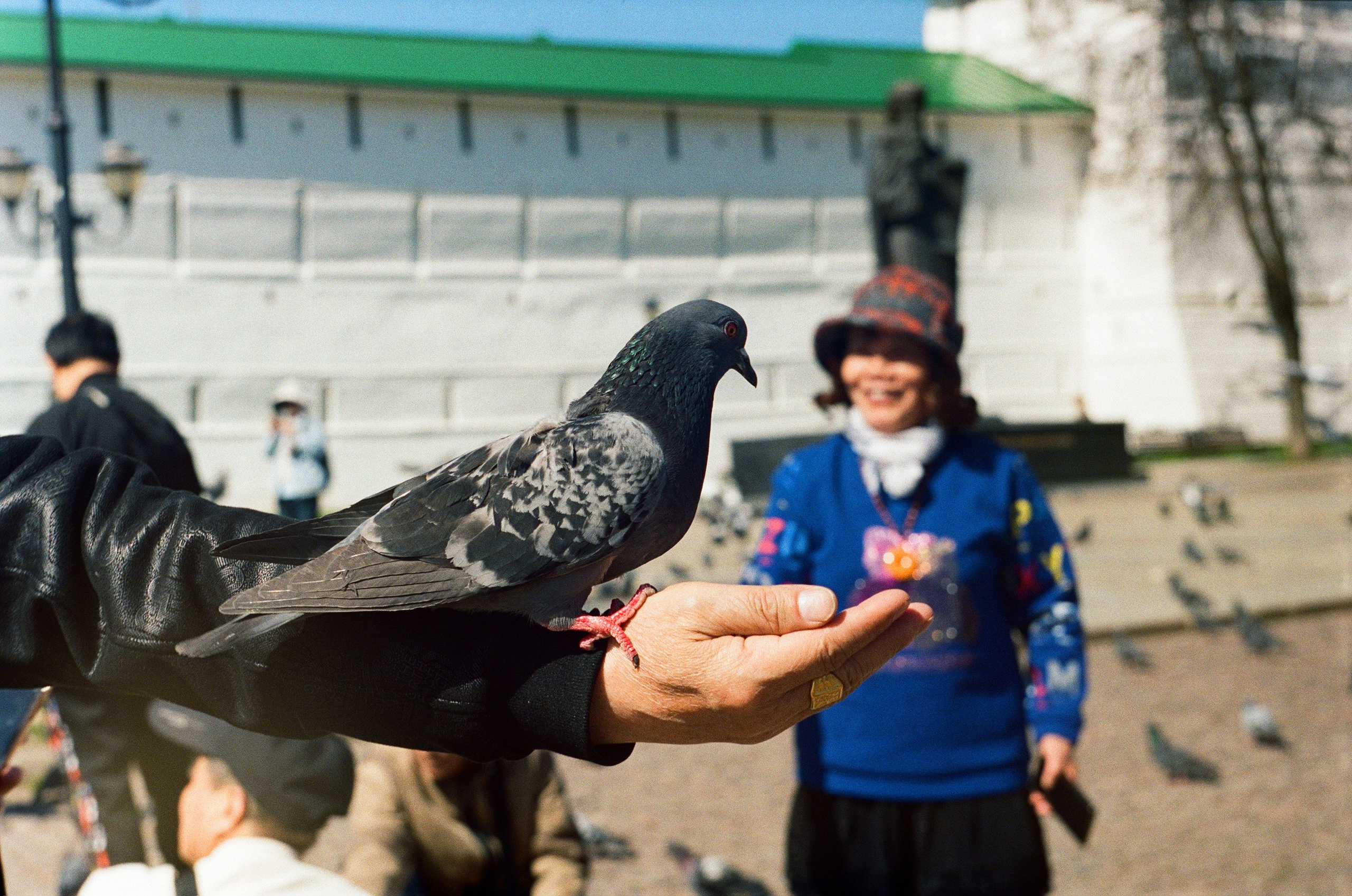 Пленка. Фотограф в Москве Наталья Новикова