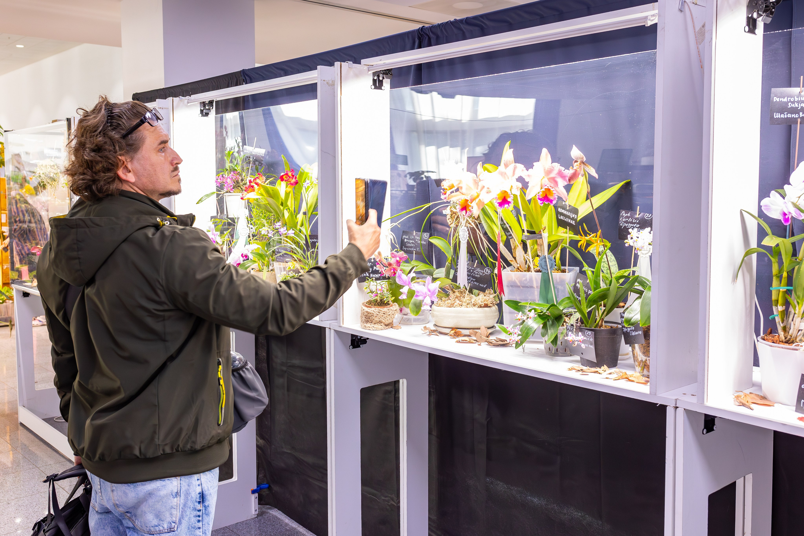 Орхидиум сентябрь 2025. Александра Куликова фотограф, Москва