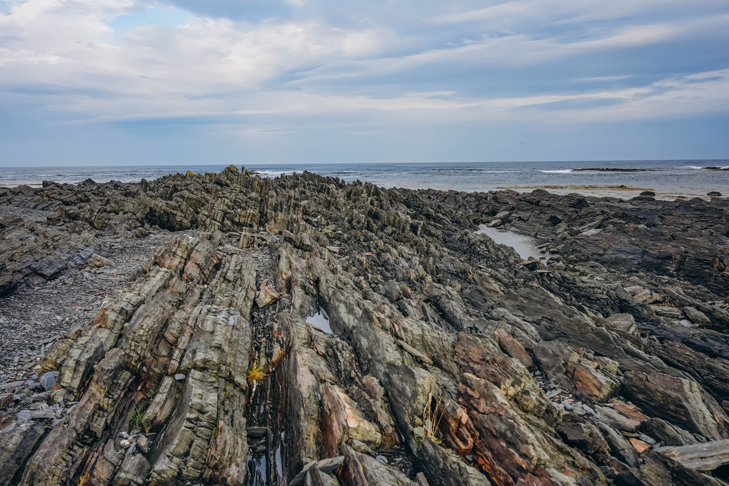 СЕВЕР. Event фотограф Степанова Александра