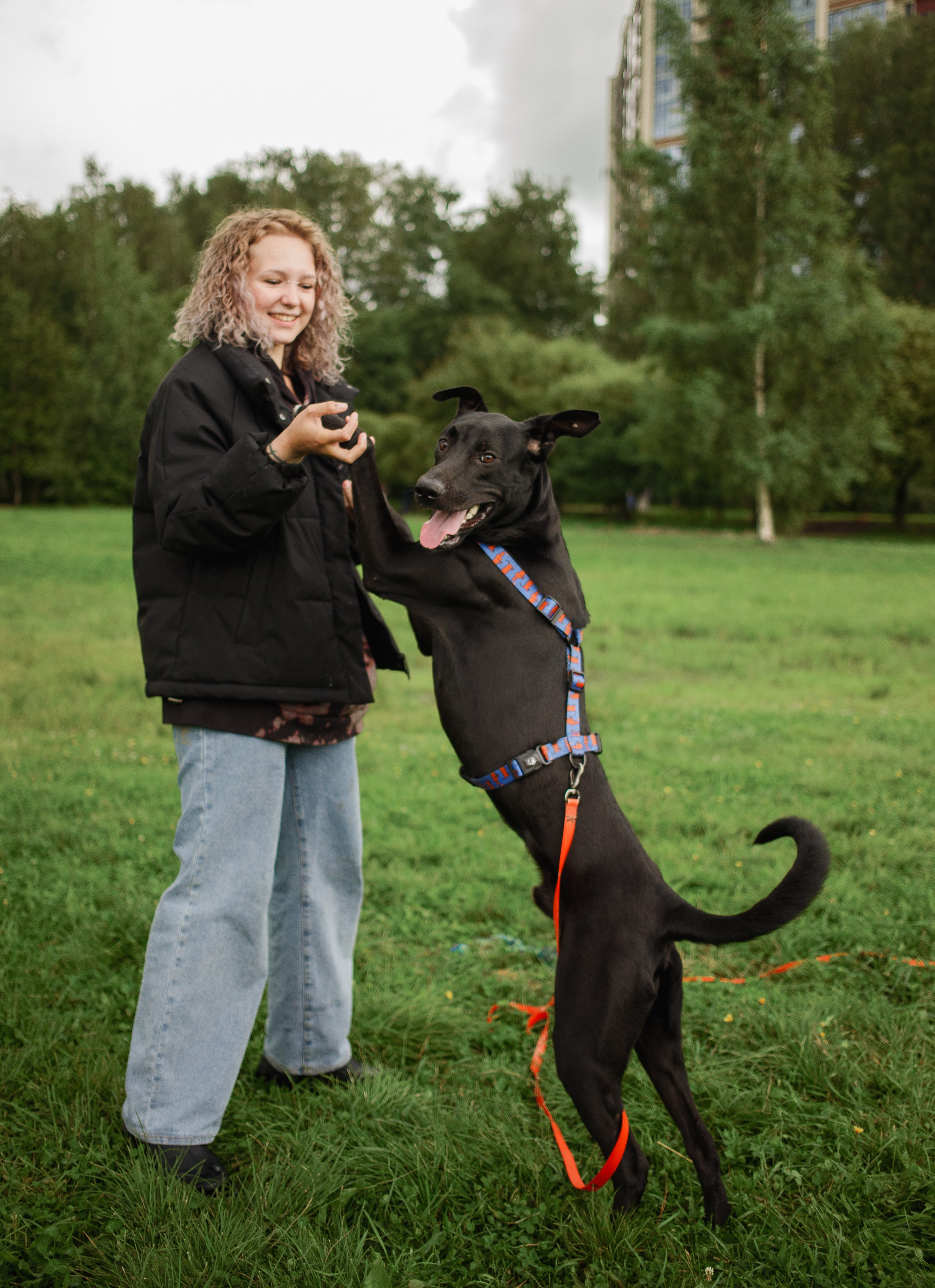 Отис ищет дом. Портретный фотограф в Санкт-Петербурге Катя Протасевич