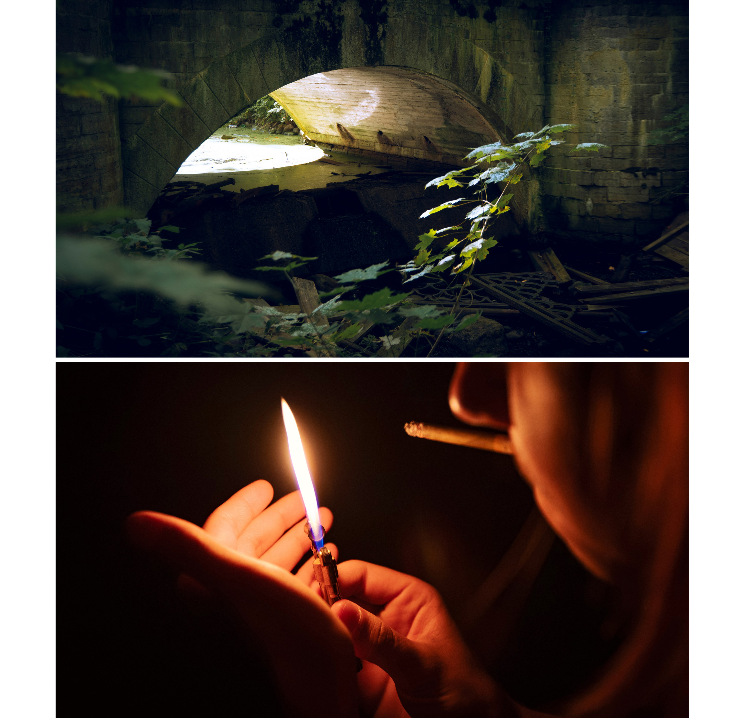 Из наблюдений. Плак или Квак