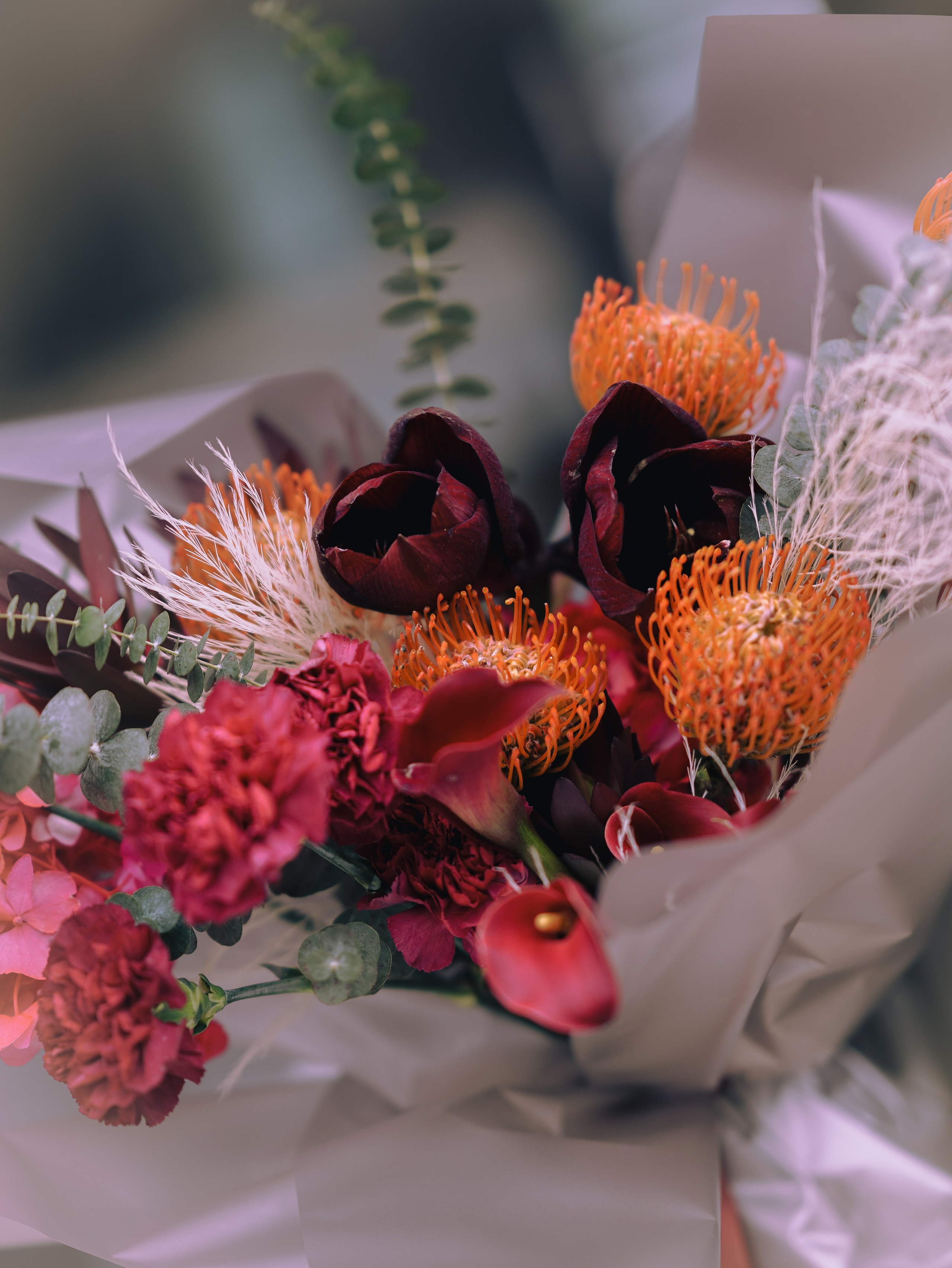 STREKOZA MAISON. Главная