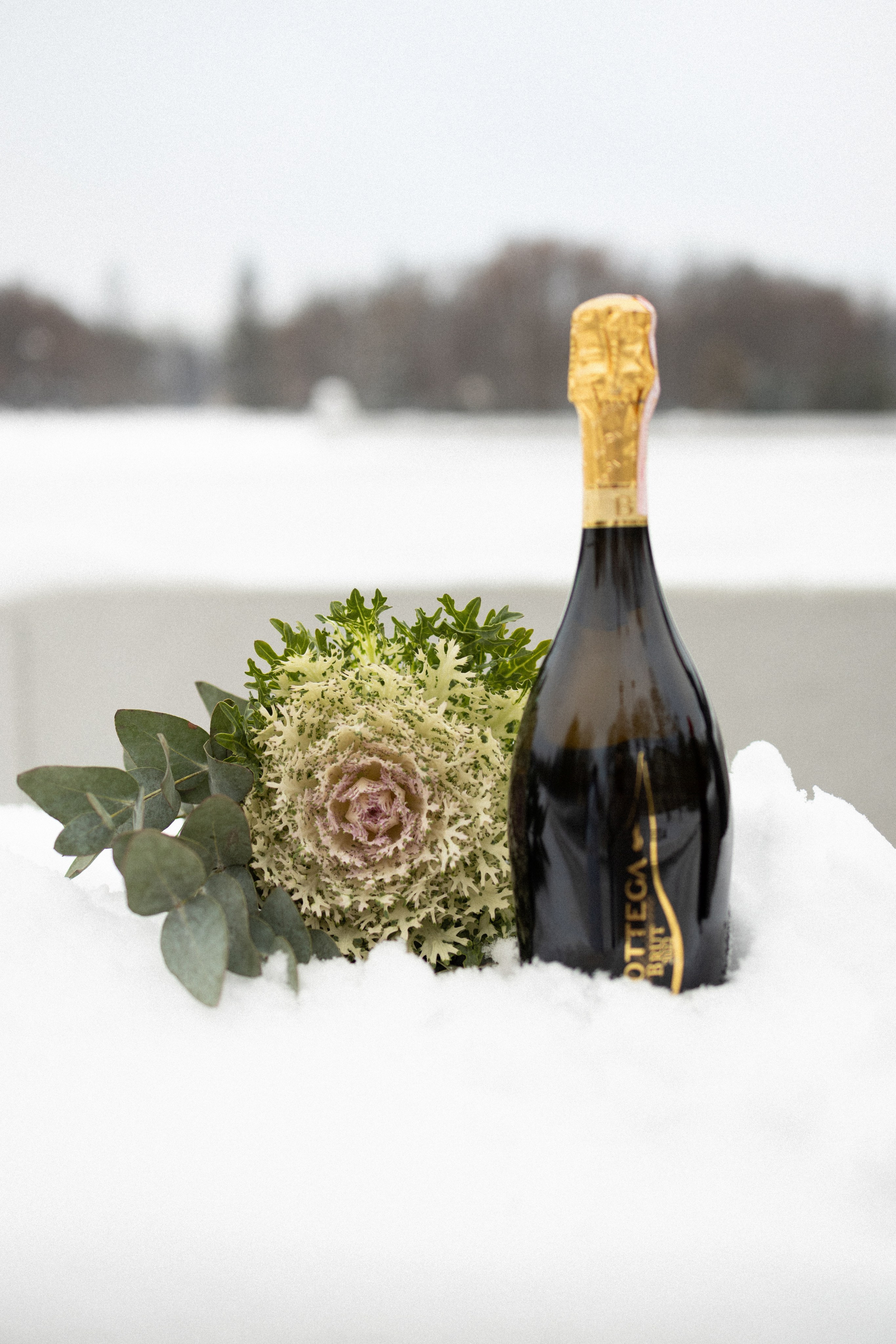 Влад и Оля (25 лет). Портретный фотограф Дорошко Анастасия