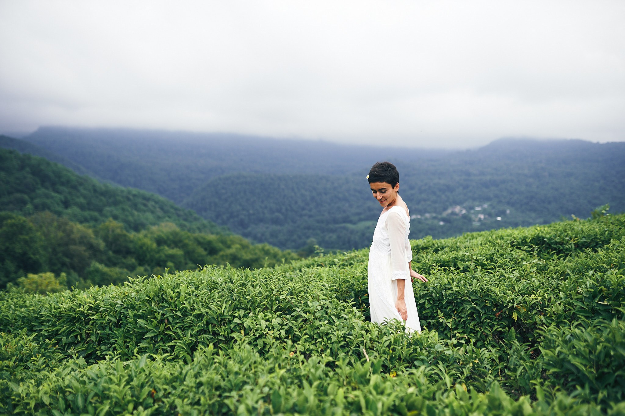 Чайные плантации. Фотограф в Сочи Катя Гончарова
