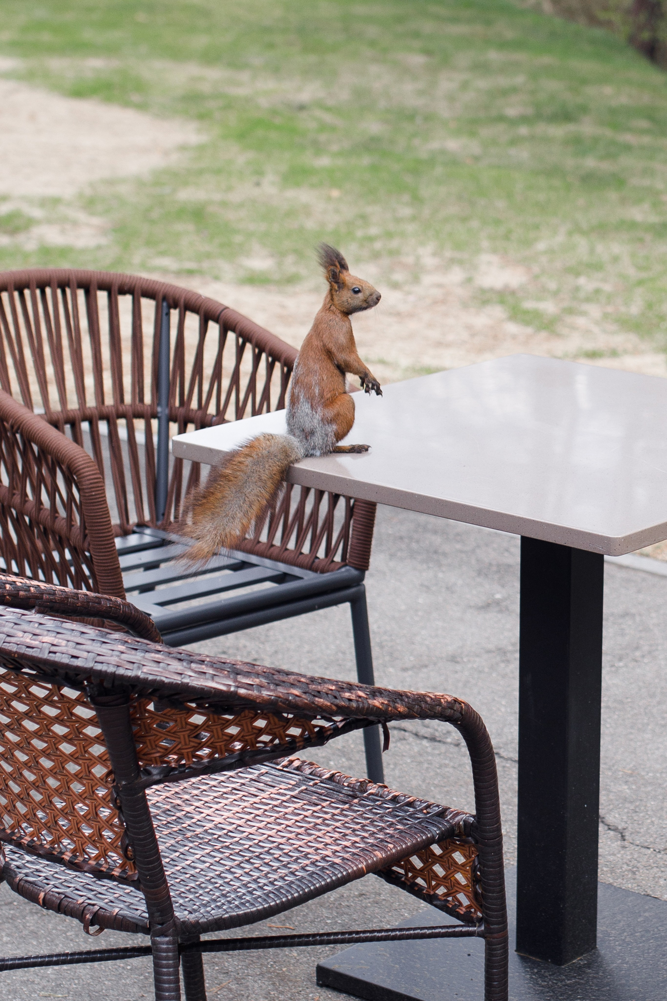 Свадьба Николая и Екатерины. Свадебный и семейный фотограф в Иркутске Яна Лиа