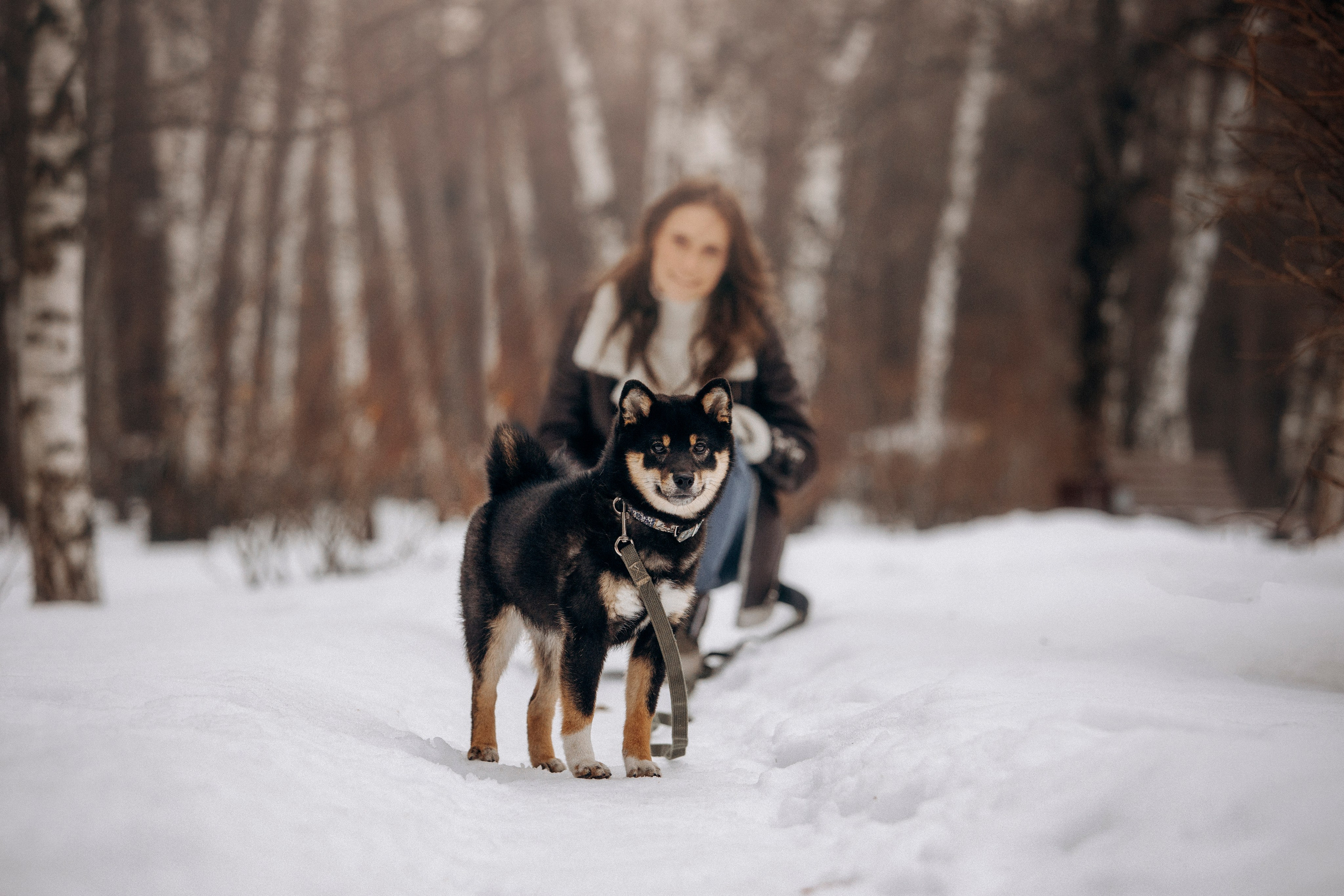Дарья и Мики. Фотограф — Анималист | Санкт-Петербург