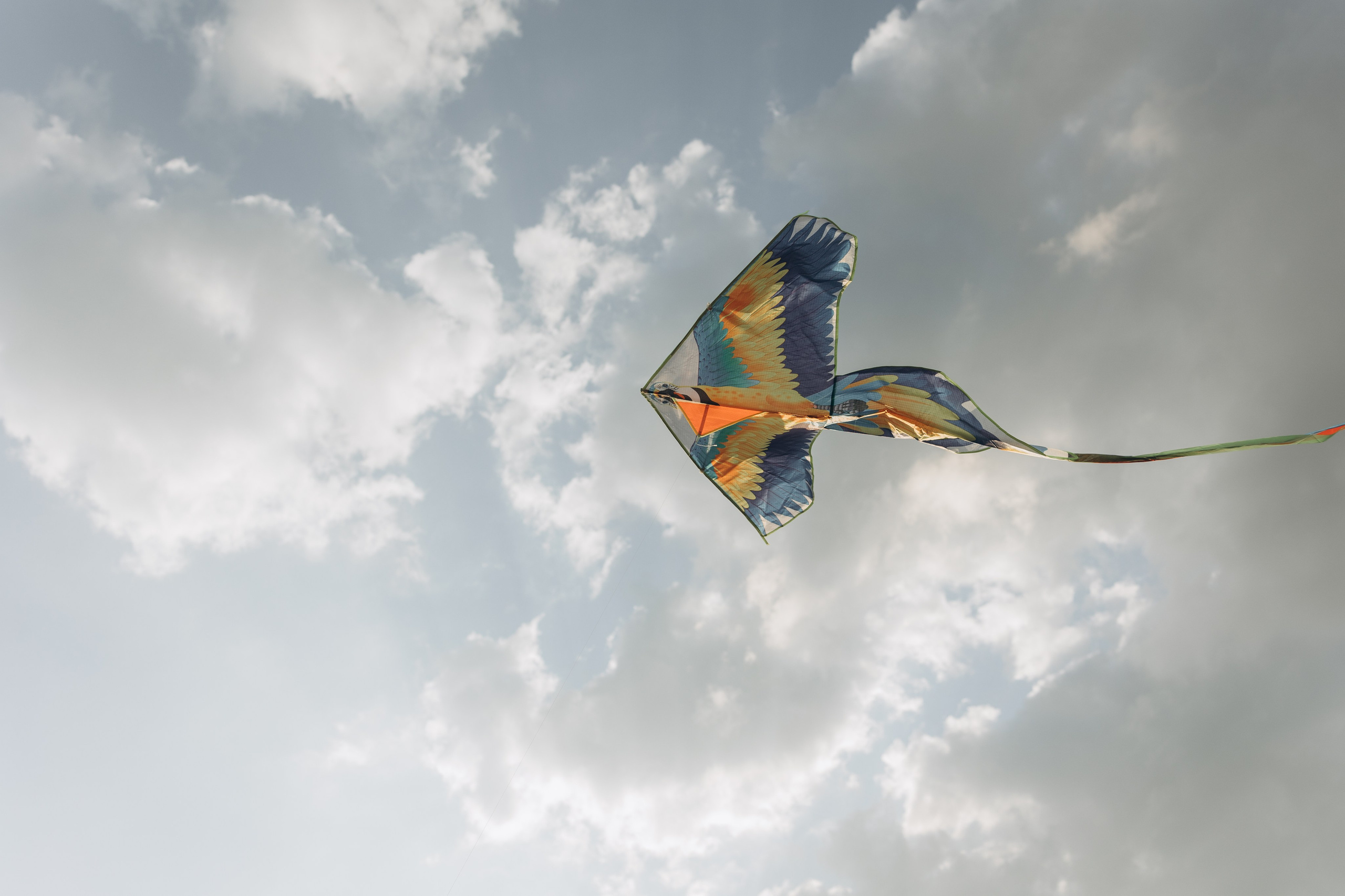 Воздушный змей. Семейный фотограф в Москве Виктория Ястребинская