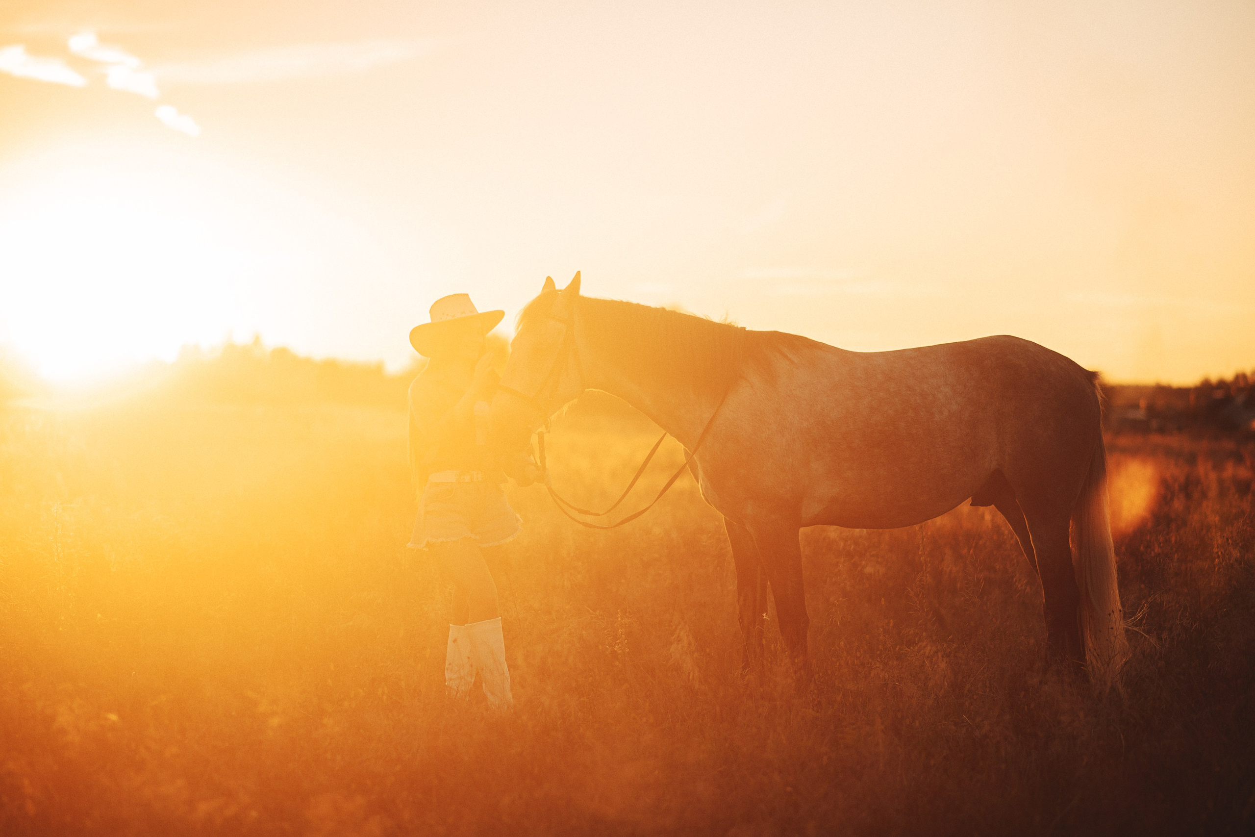 Вероника и Дакар — 23.09.2024. Фотограф — Анималист | Анна Абрамова