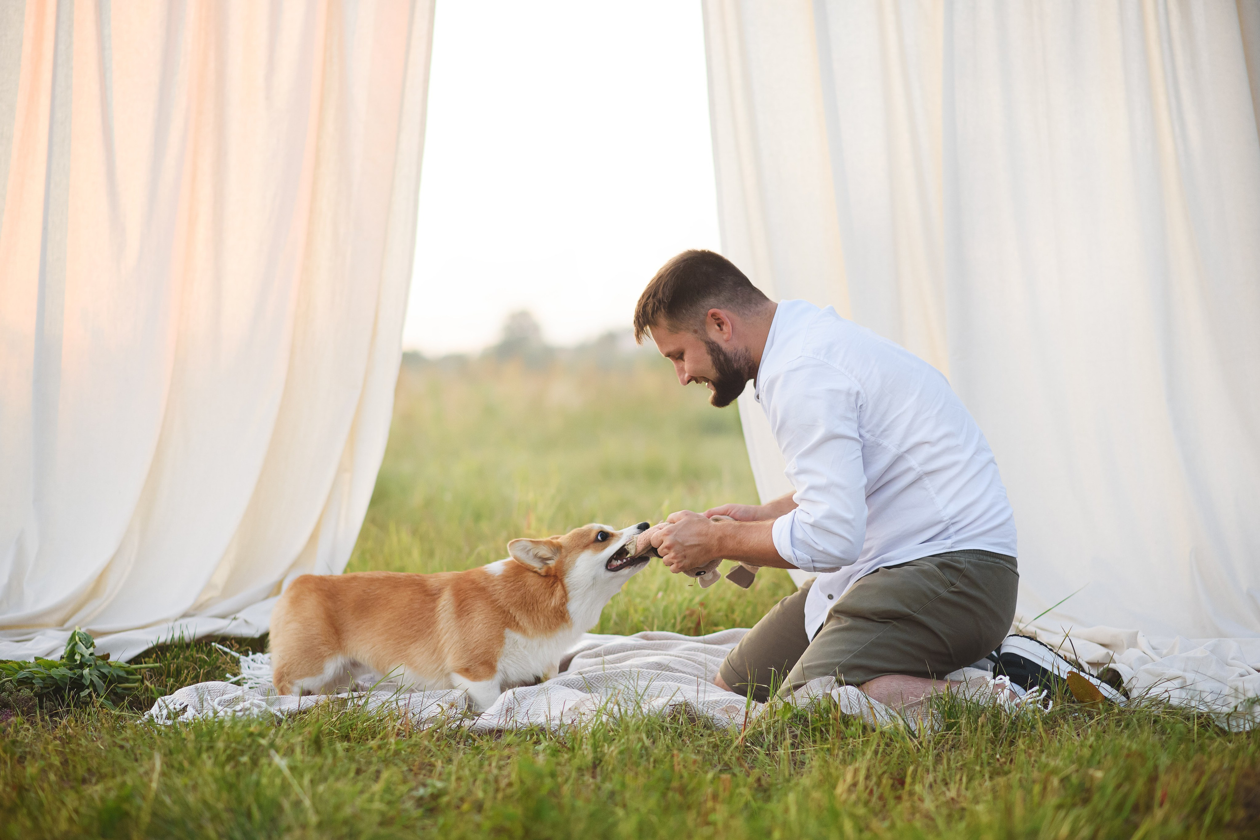 Сережа, Вика и Феня — 25.07.2024. Фотограф — Анималист | Анна Абрамова