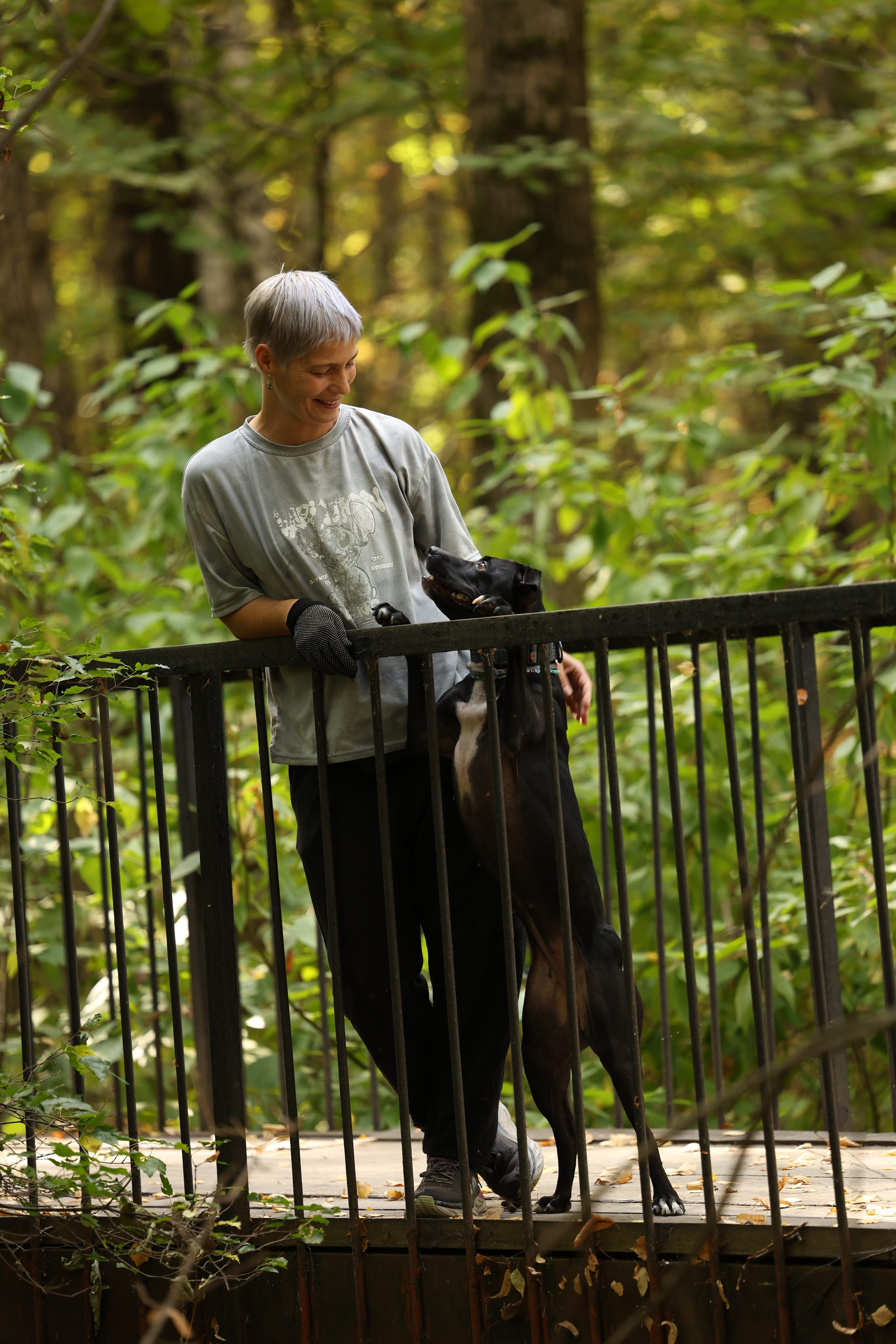 Алена и Бора. Виктория Михайловская. Фотограф-анималист. Москва