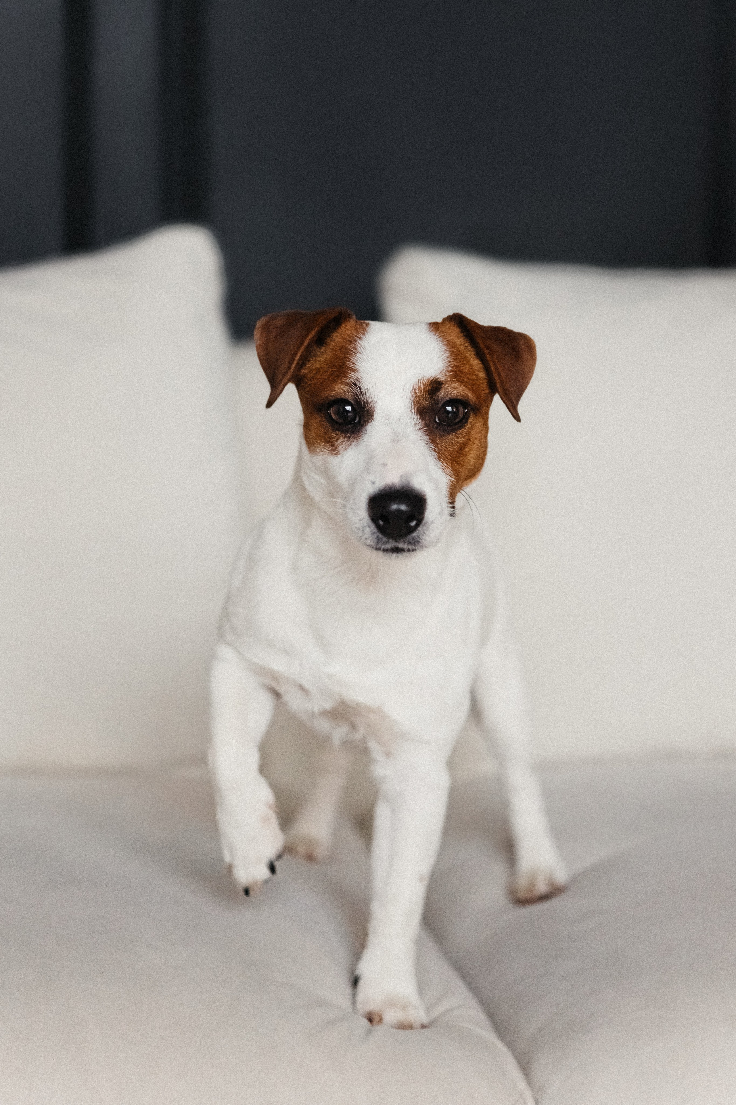 2024.03.24 Танюша, Руслан и Боба. Ирина Бешляга. Фотограф в Москве и по всей России