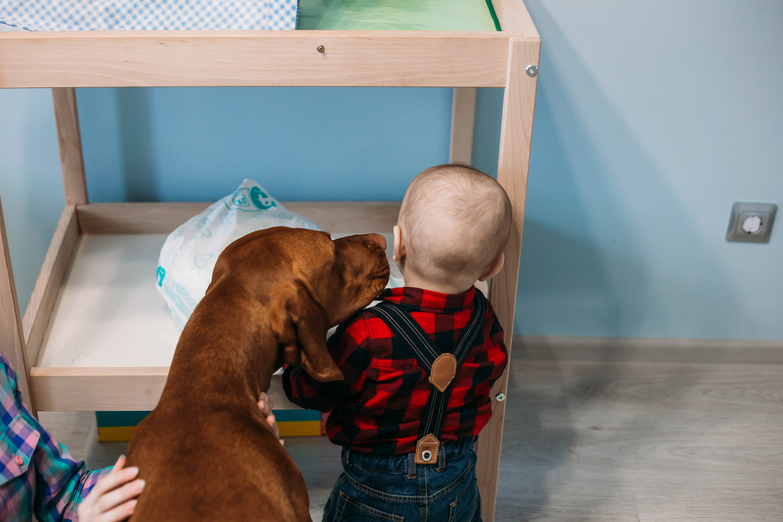 Семейные фотосессии в Кирове