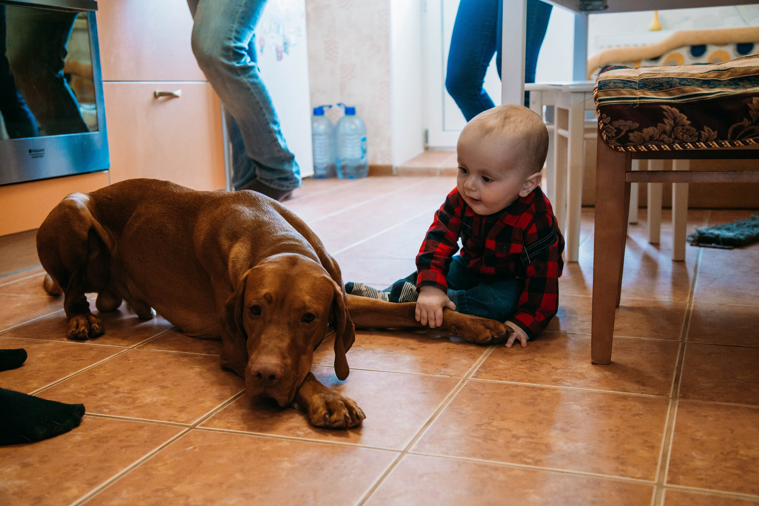 Семейные фотосессии в Кирове