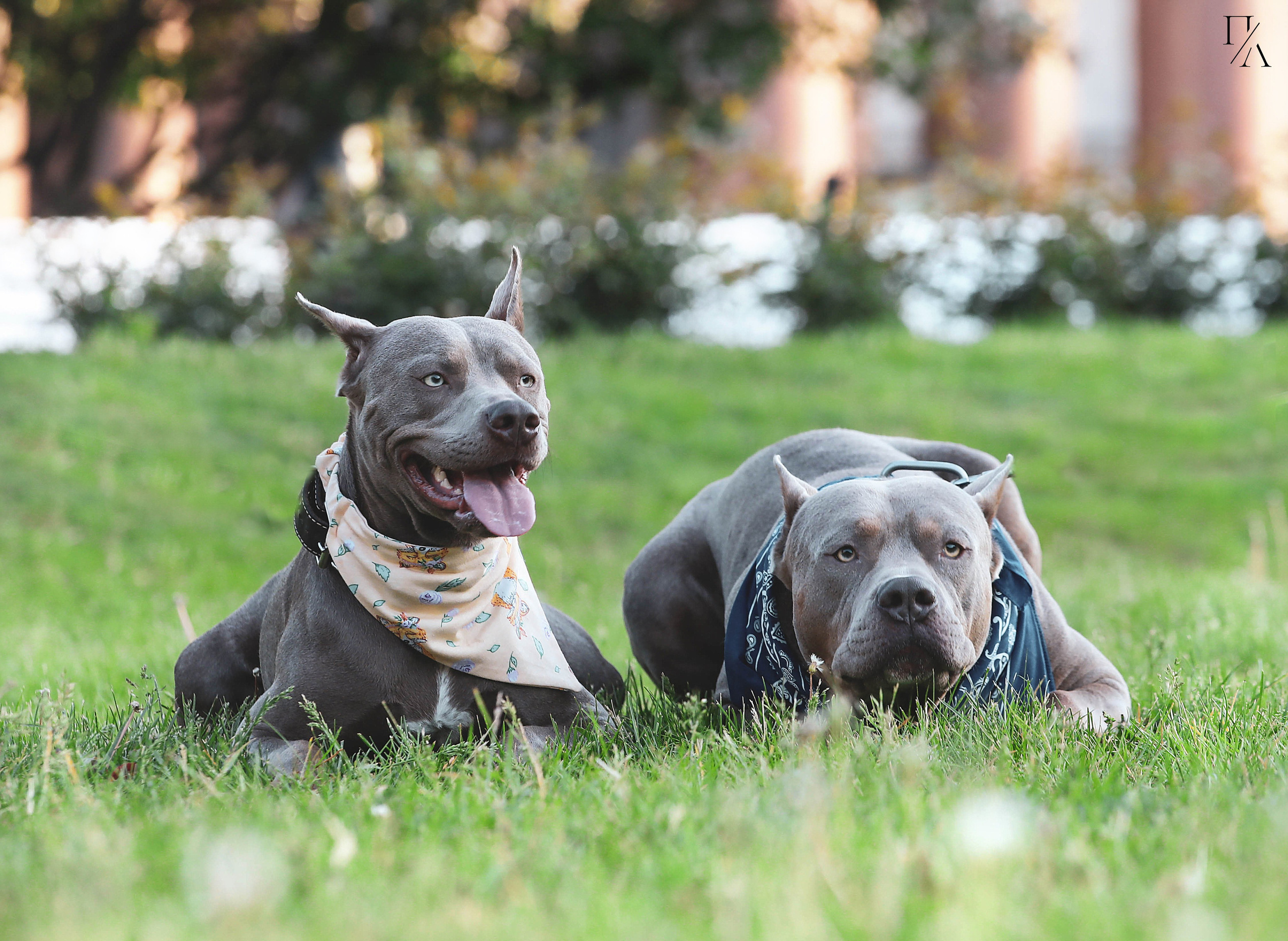 Рассветные фотосъёмки. Фотограф-анималист Павлова Любовь