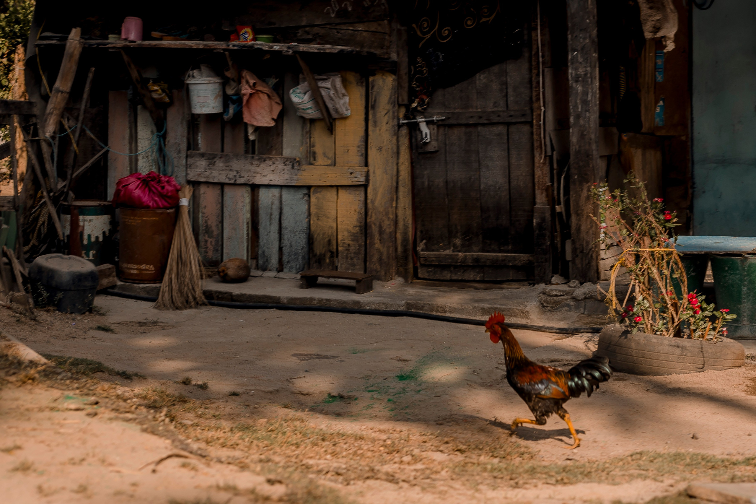 Andaman Islands, Part2. Art Photographer