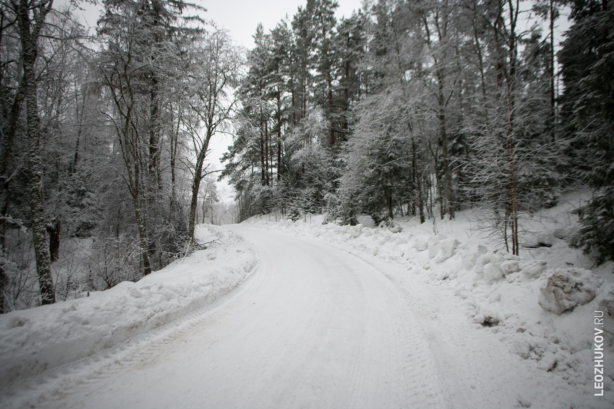 Rally Karelia 2024. Sports photographer Leonid Zhukov