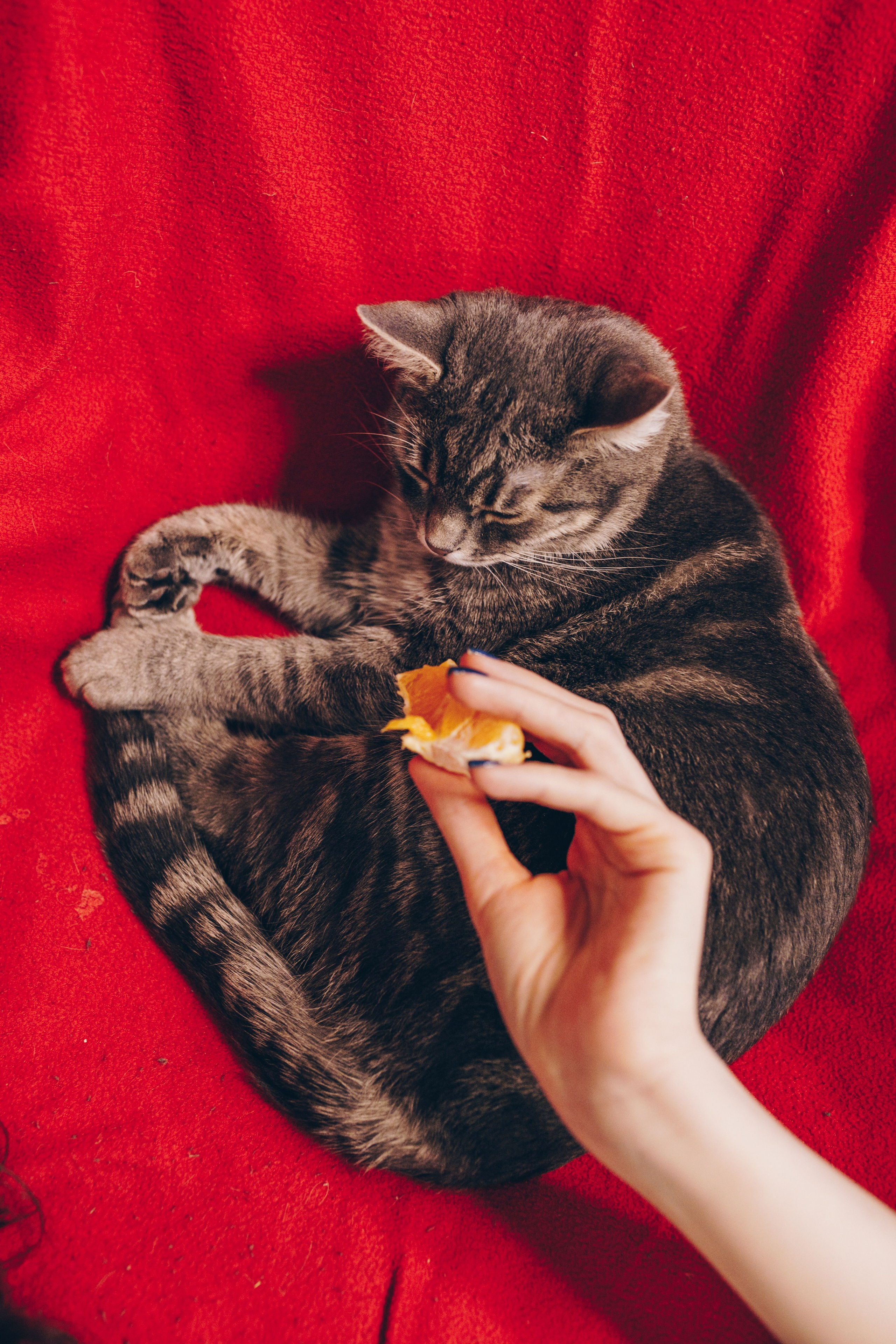 ЖЕНЯ. Фотограф Лебедева Наталья