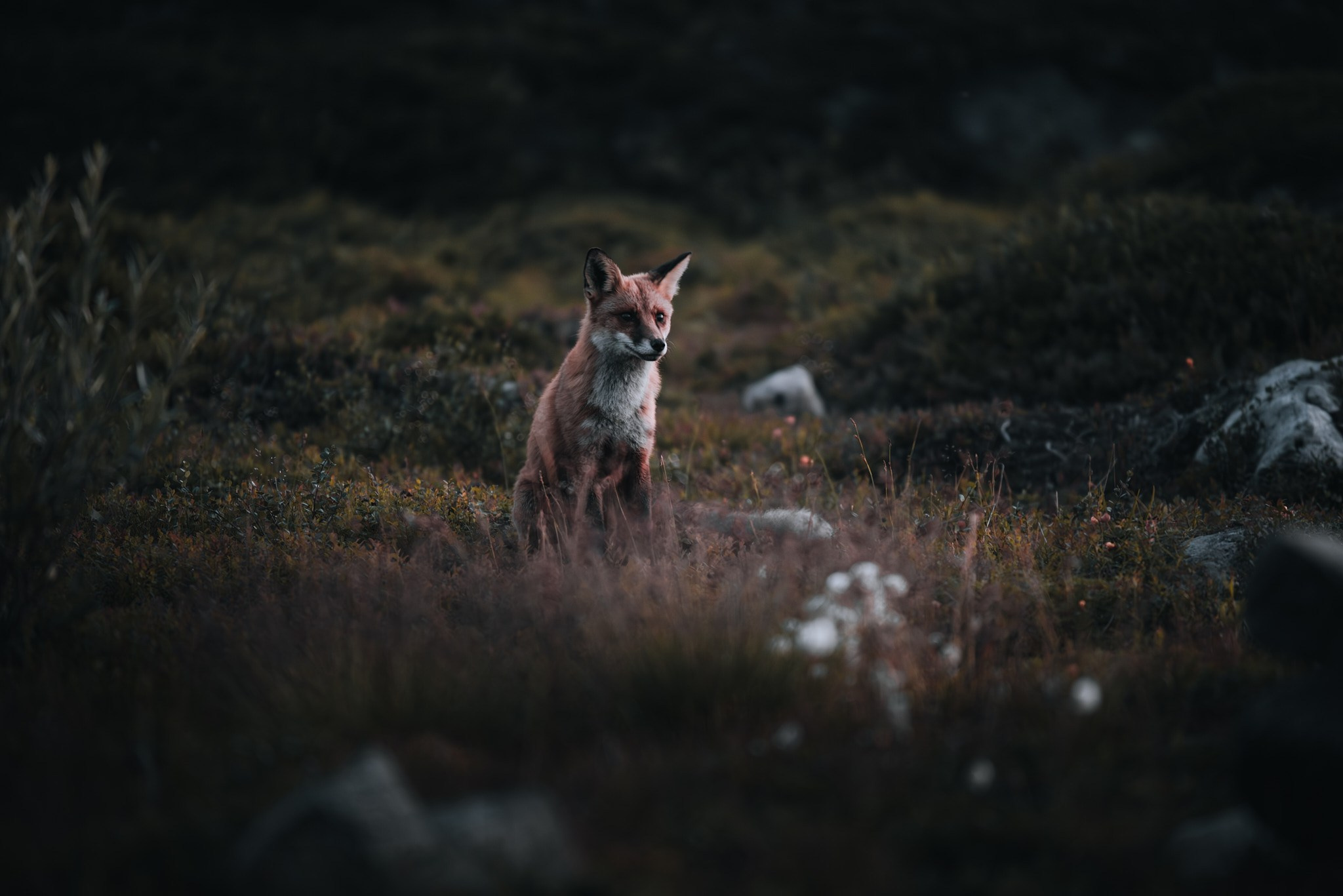 Север 2025. Внедорожные путешествия — OFFROADTRIP