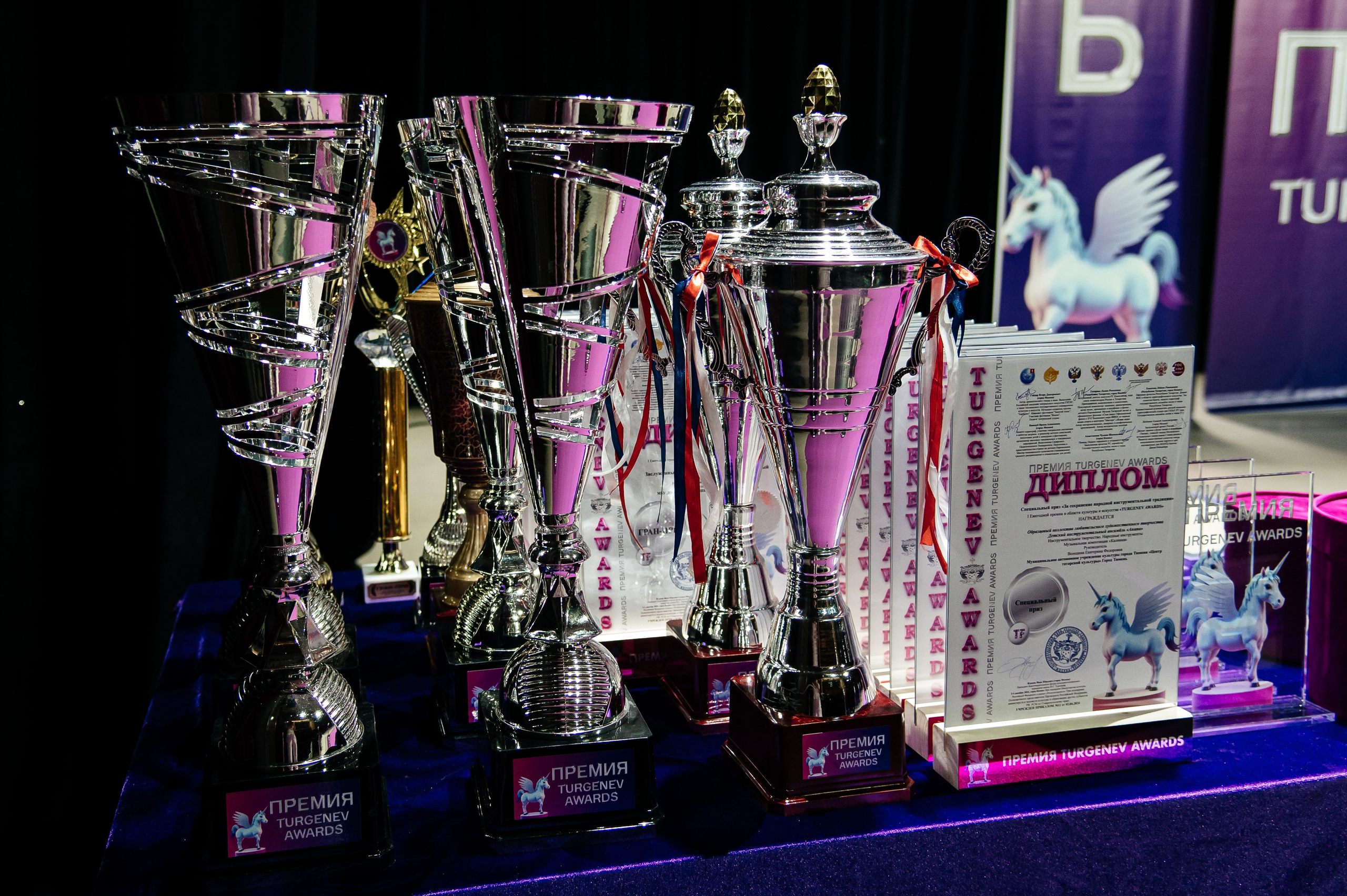 Всероссийская премия. Фотограф Виктория Ахметова Казань Москва