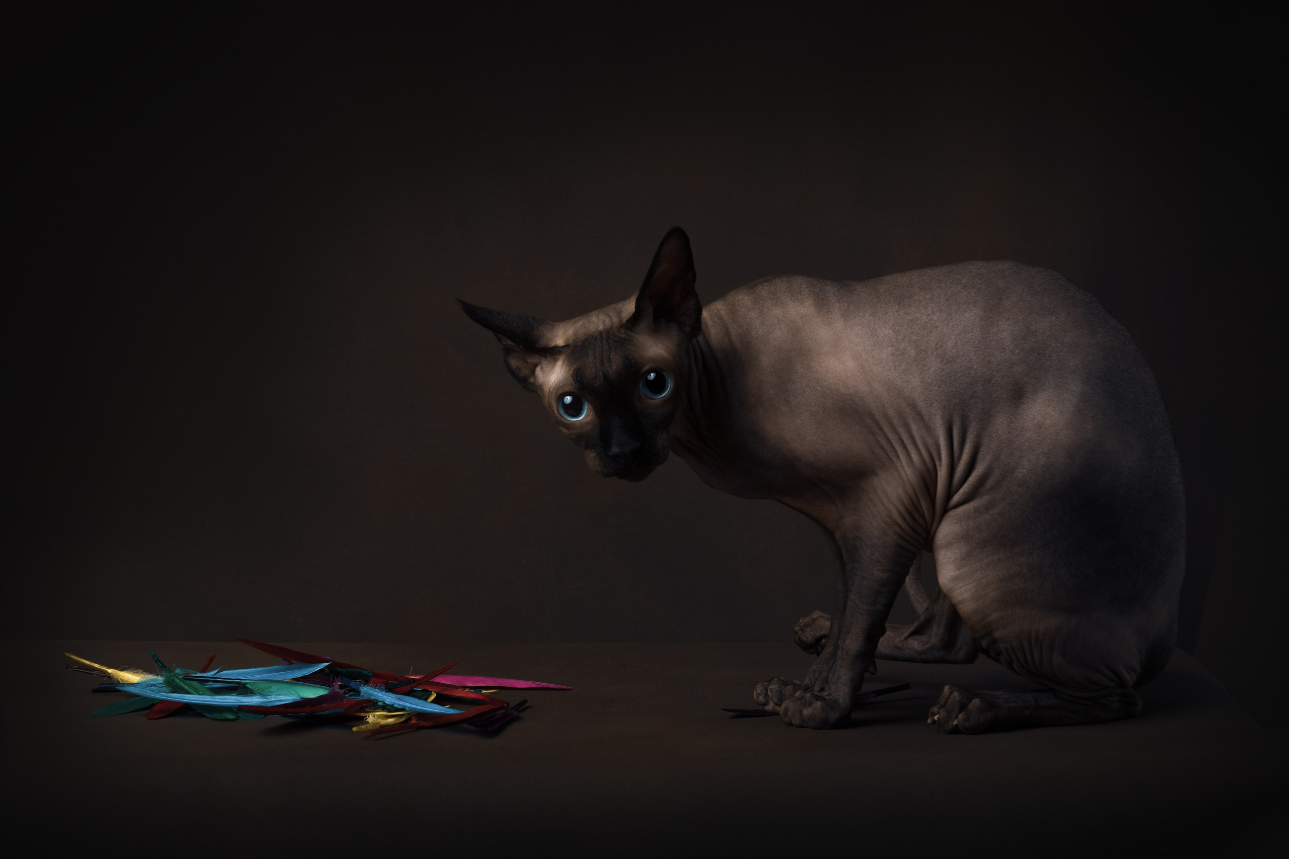 Фотонатюрморты. Савельева Ольга фотохудожник-портретист Москва