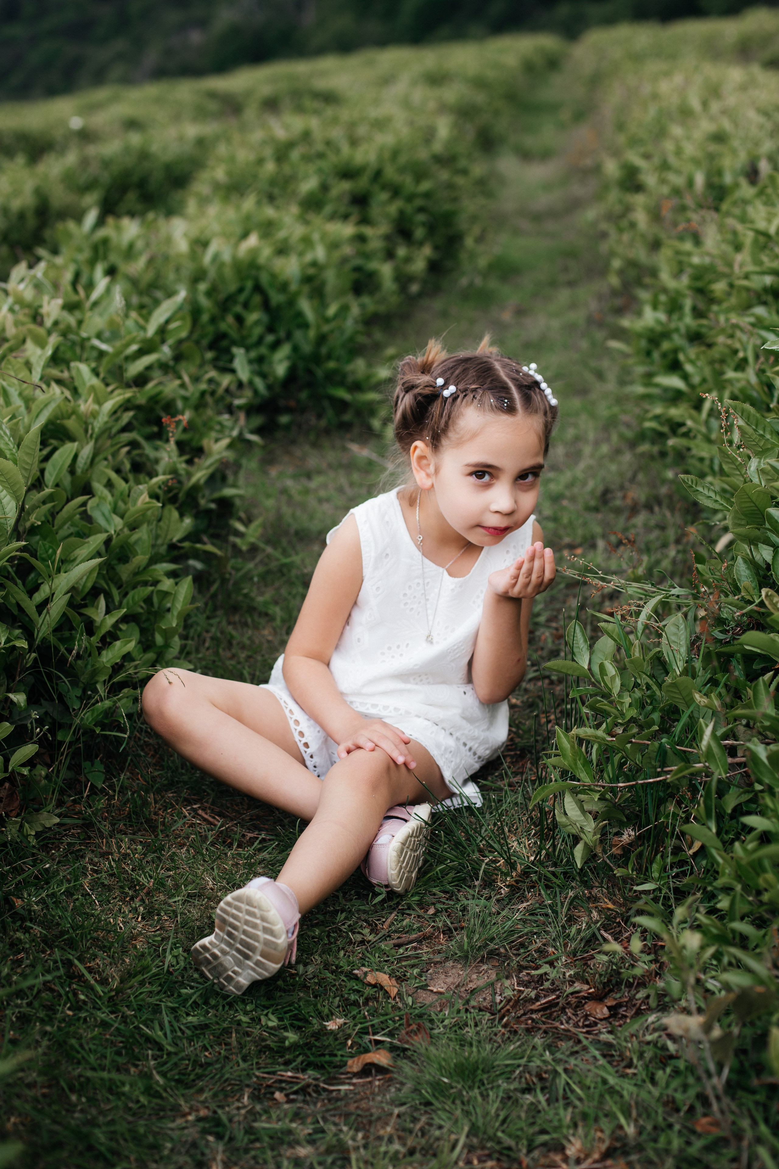 Tea plantation. Efimova Model Agency