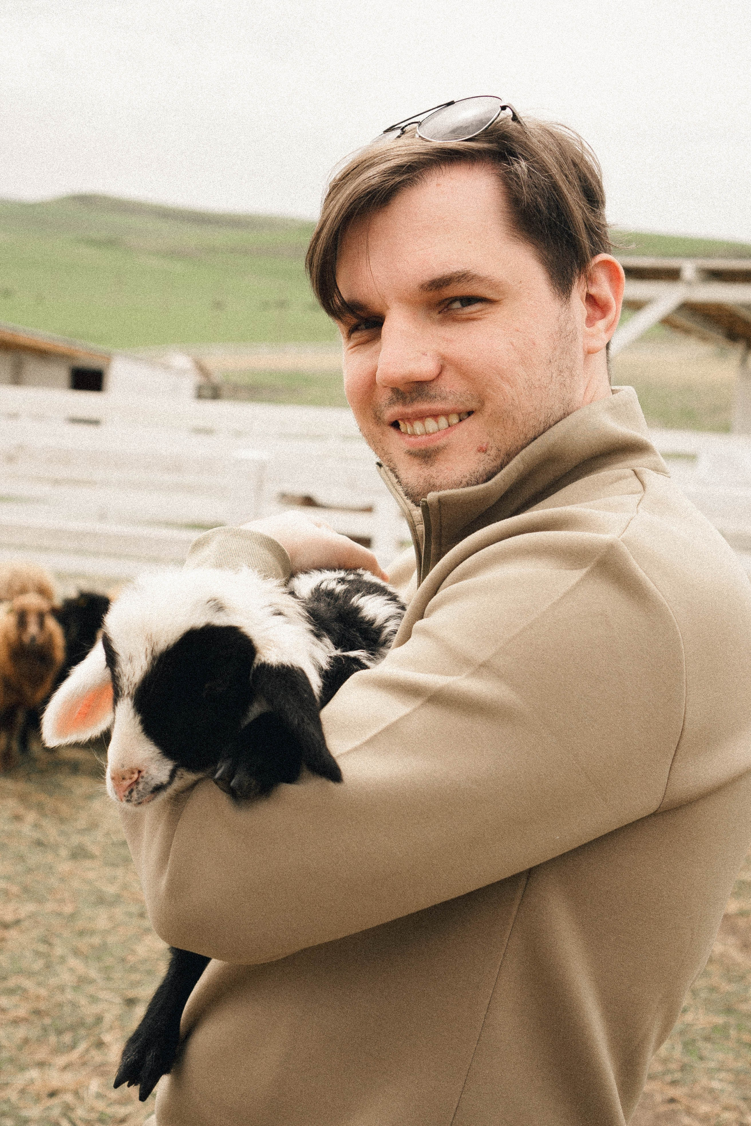Ферма Альпак. Профессиональный фотограф, Санкт-Петербург — Виктория Богомолова