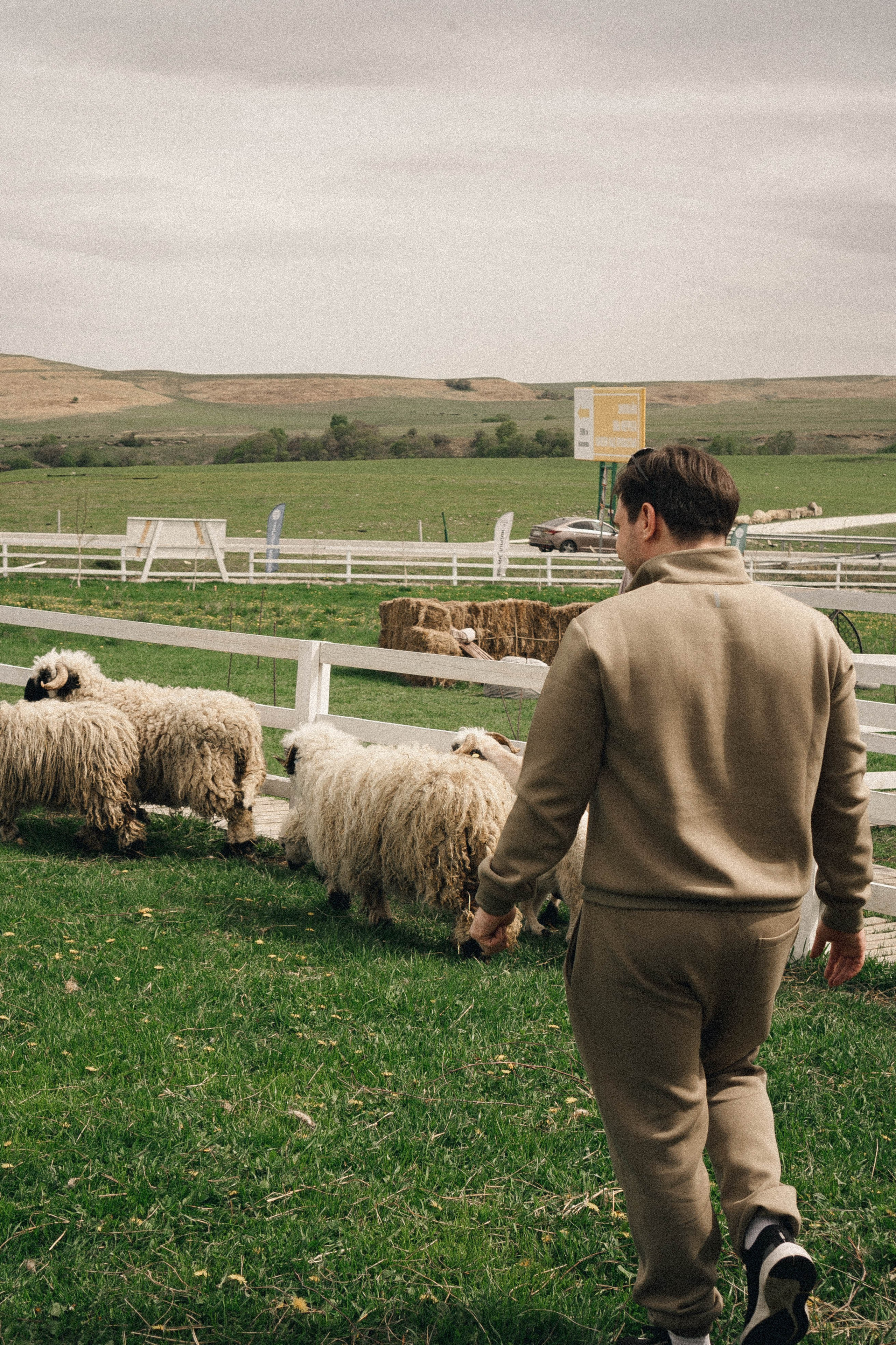 Ферма Альпак. Профессиональный фотограф, Санкт-Петербург — Виктория Богомолова