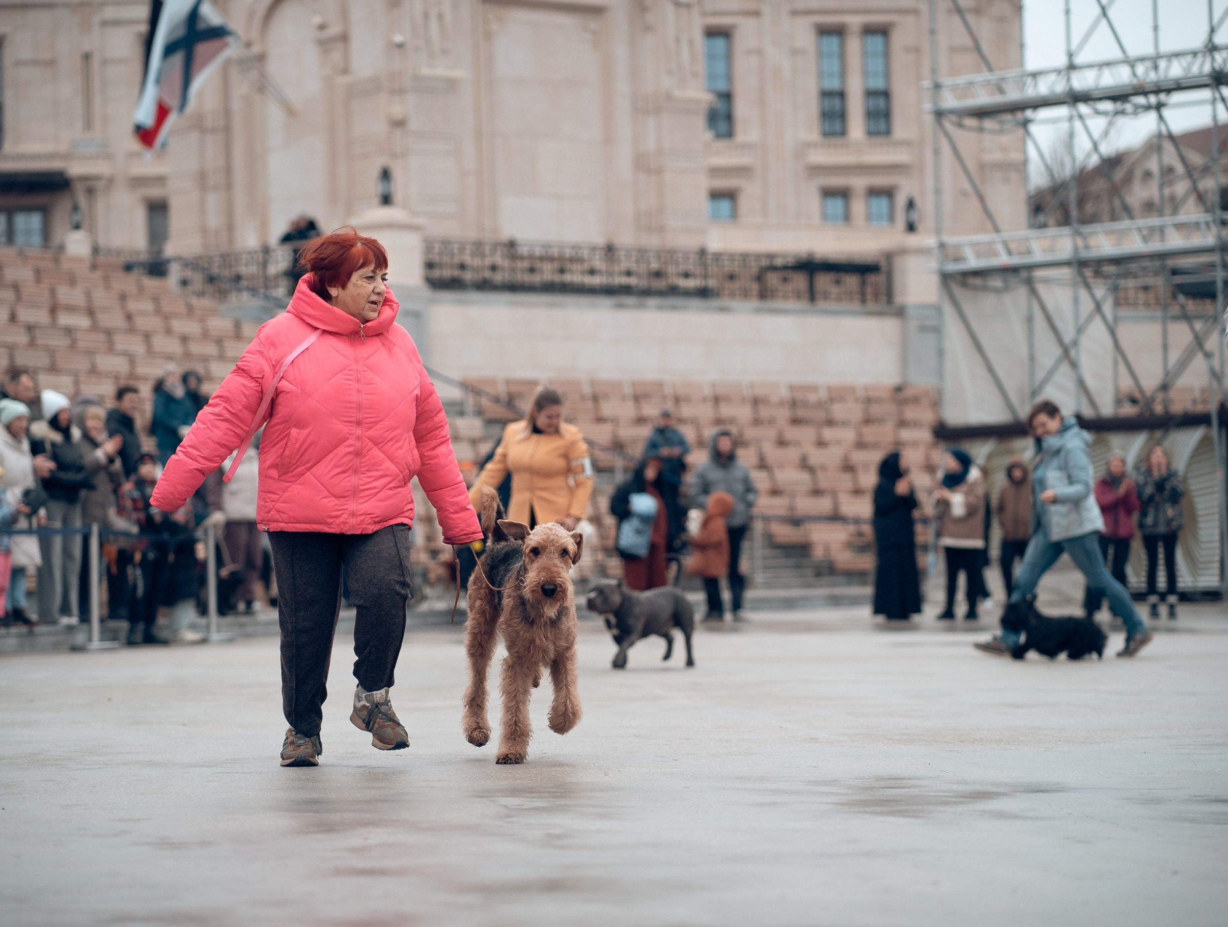Благотворительная выставка собак в Новом Херсонесе г. Севастополь. Церковный фотограф Севастополь