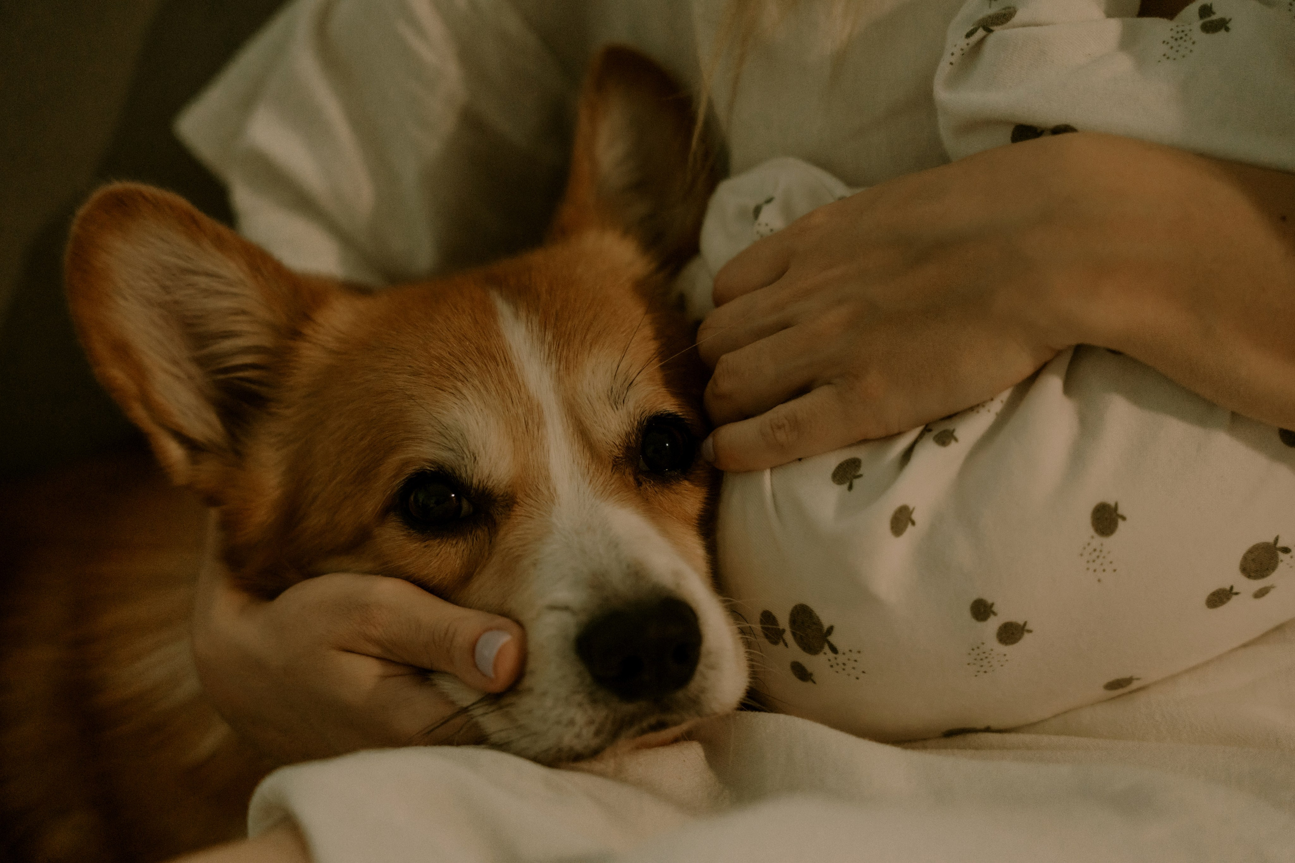Самая нежность. Свадебный и индивидуальный фотограф в Суворове Клюева Мария