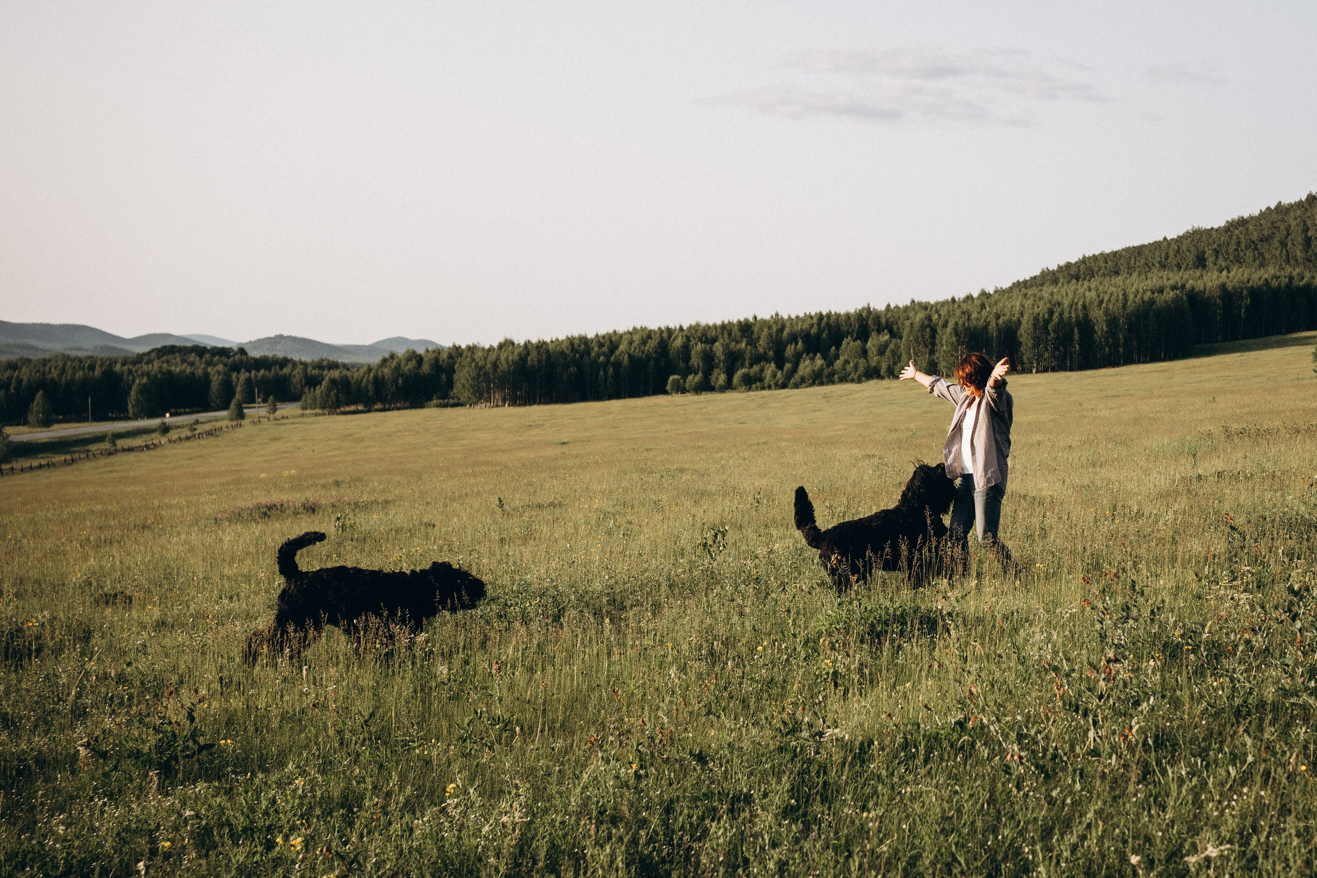 Лариса, Кира и Грэйс. Фотограф-анималист Анастасия Большакова