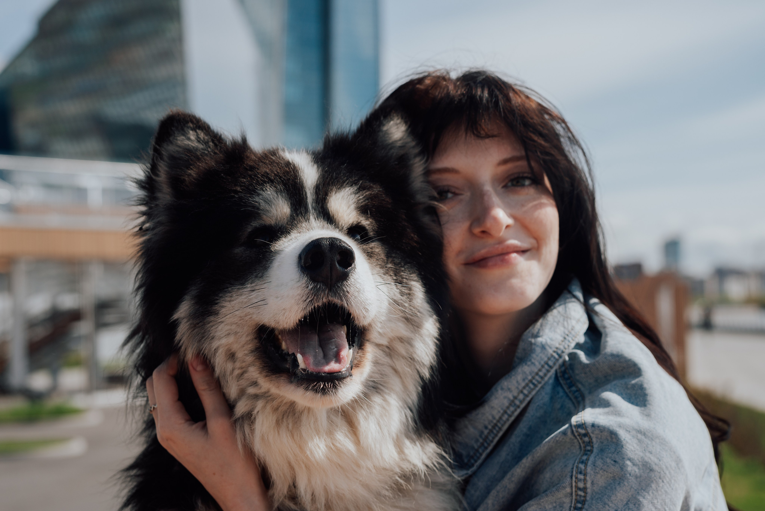 Фотодень с хаски. Фотограф в Санкт-Петербурге и Ленинградской области
