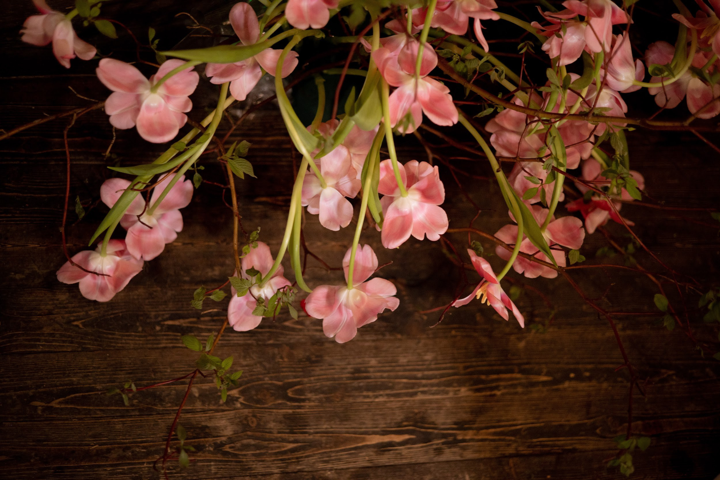 Василиса & Александр. Оформление свадеб, декор свадеб Вера Маркова, Москва