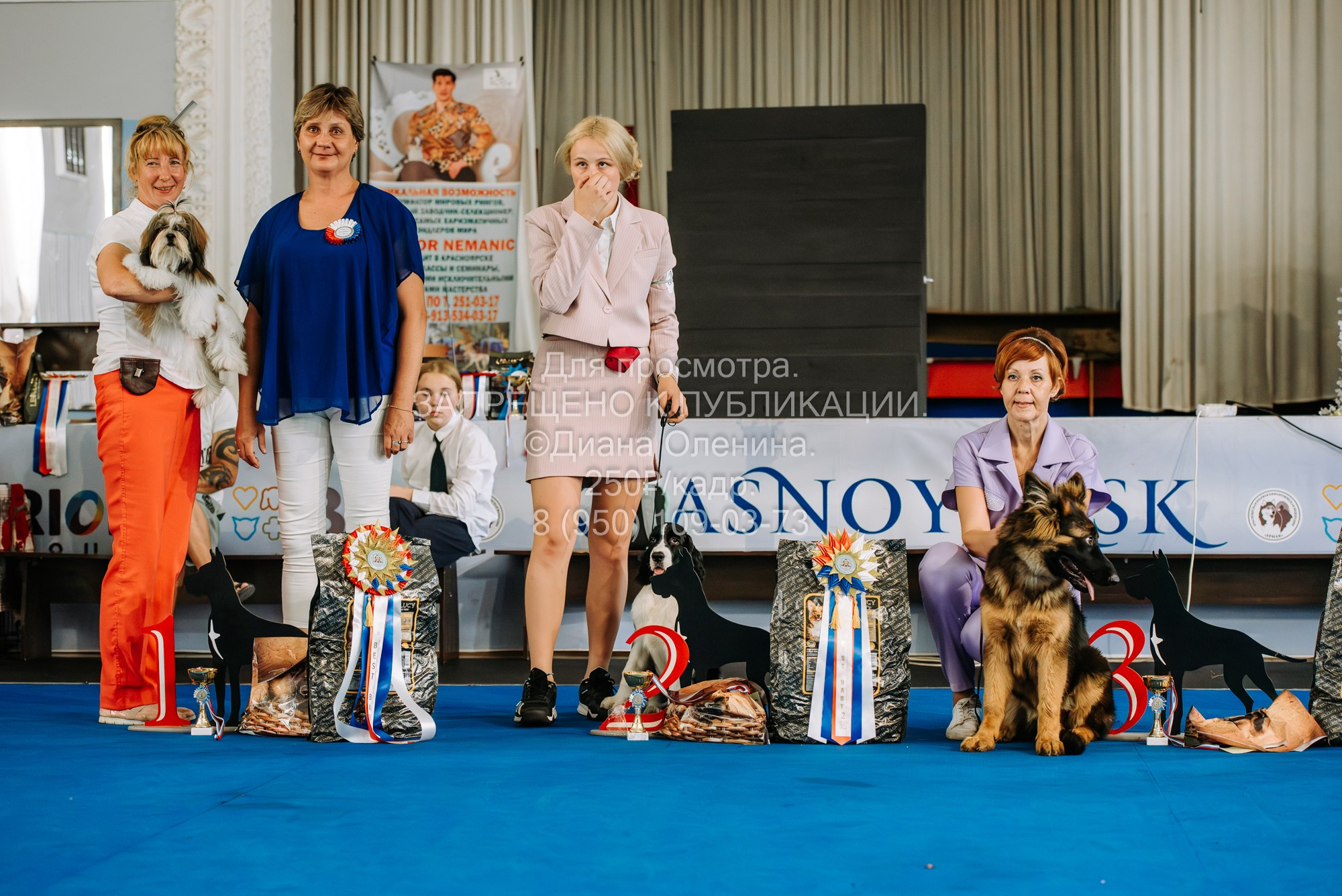 Национальная выставка собак всех пород ранга САС-IKU «Кубок Красноярск. Фотограф Диана Оленина Красноярск / Братск