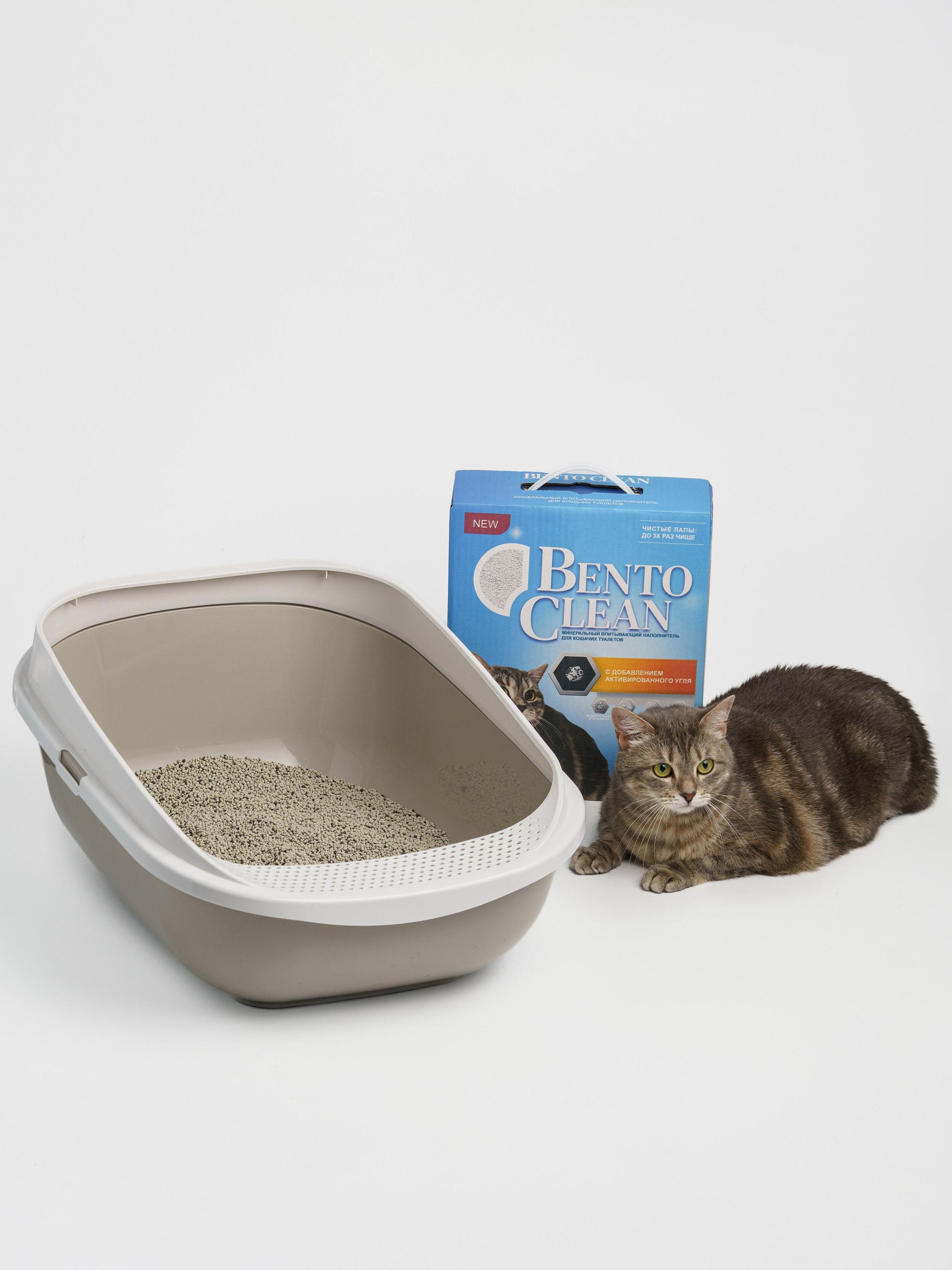 Съемки с животными. КЕД Студия-контент агентство полного цикла СПБ. Создаём фото, видео и контент, который помогает брендам и селлерам продавать больше