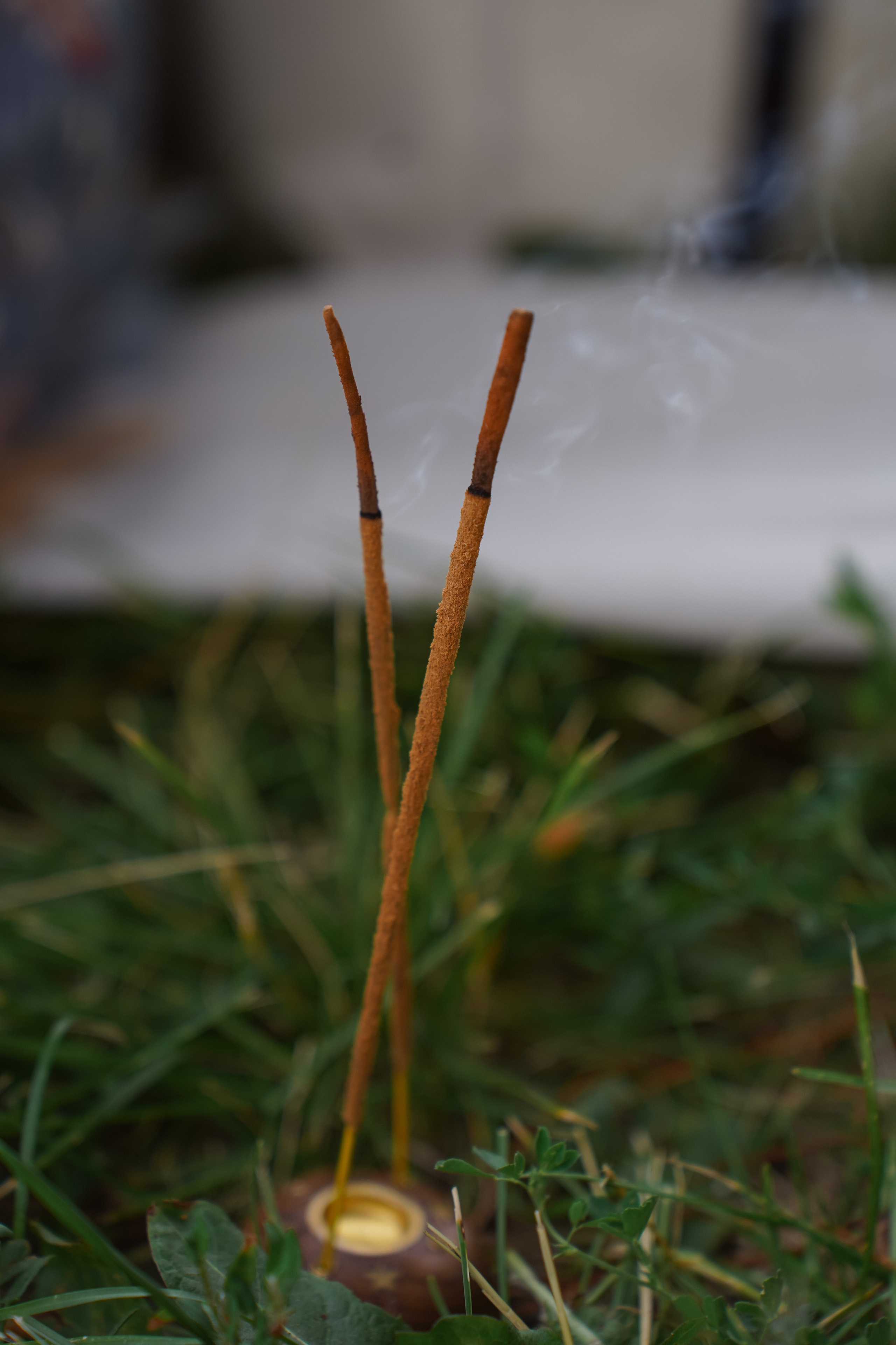 День Ивана Купала. Портретный фотограф в Москве Анастасия Шагирова