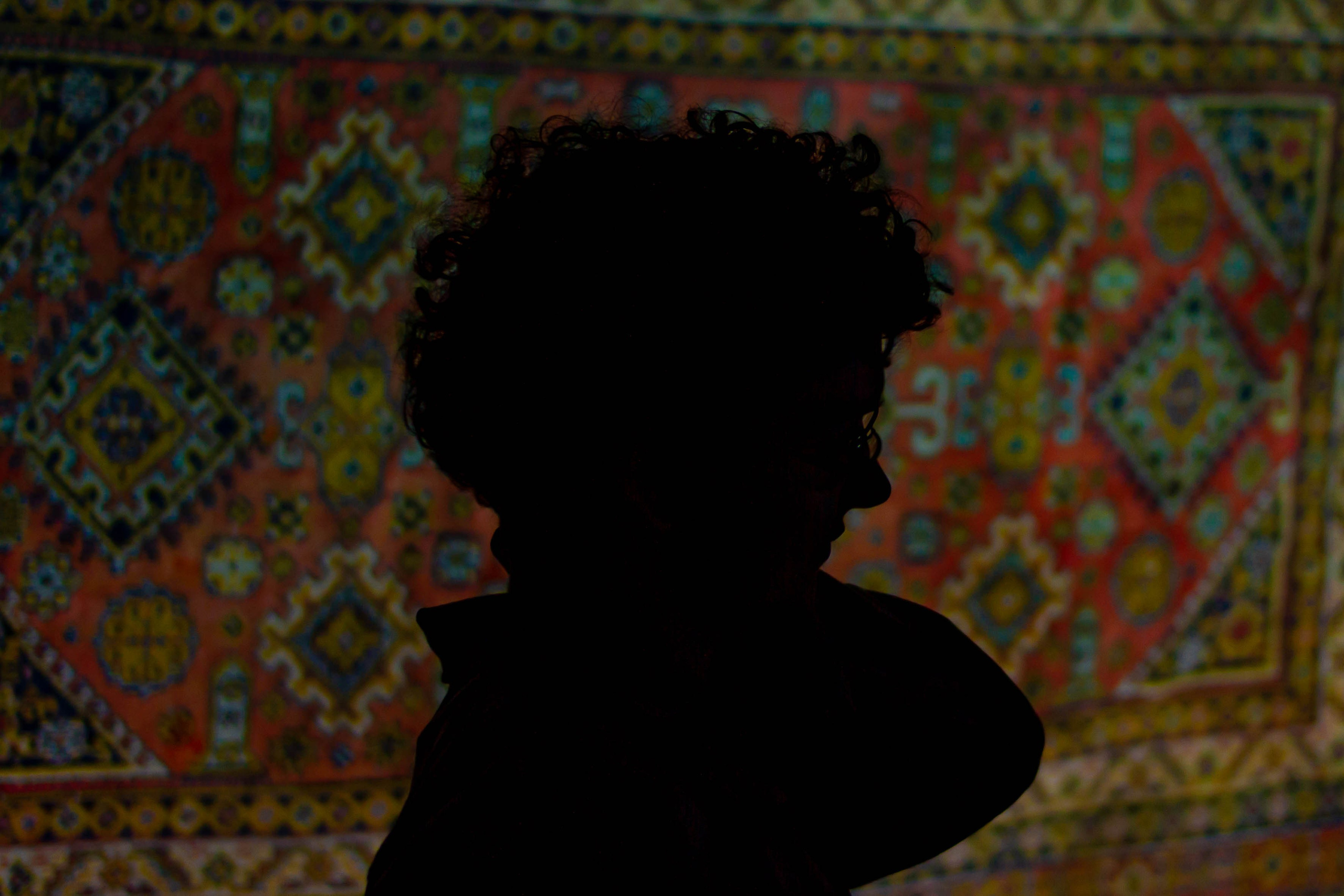 VI Межвузовский Хакатон DigitalArt.EACA