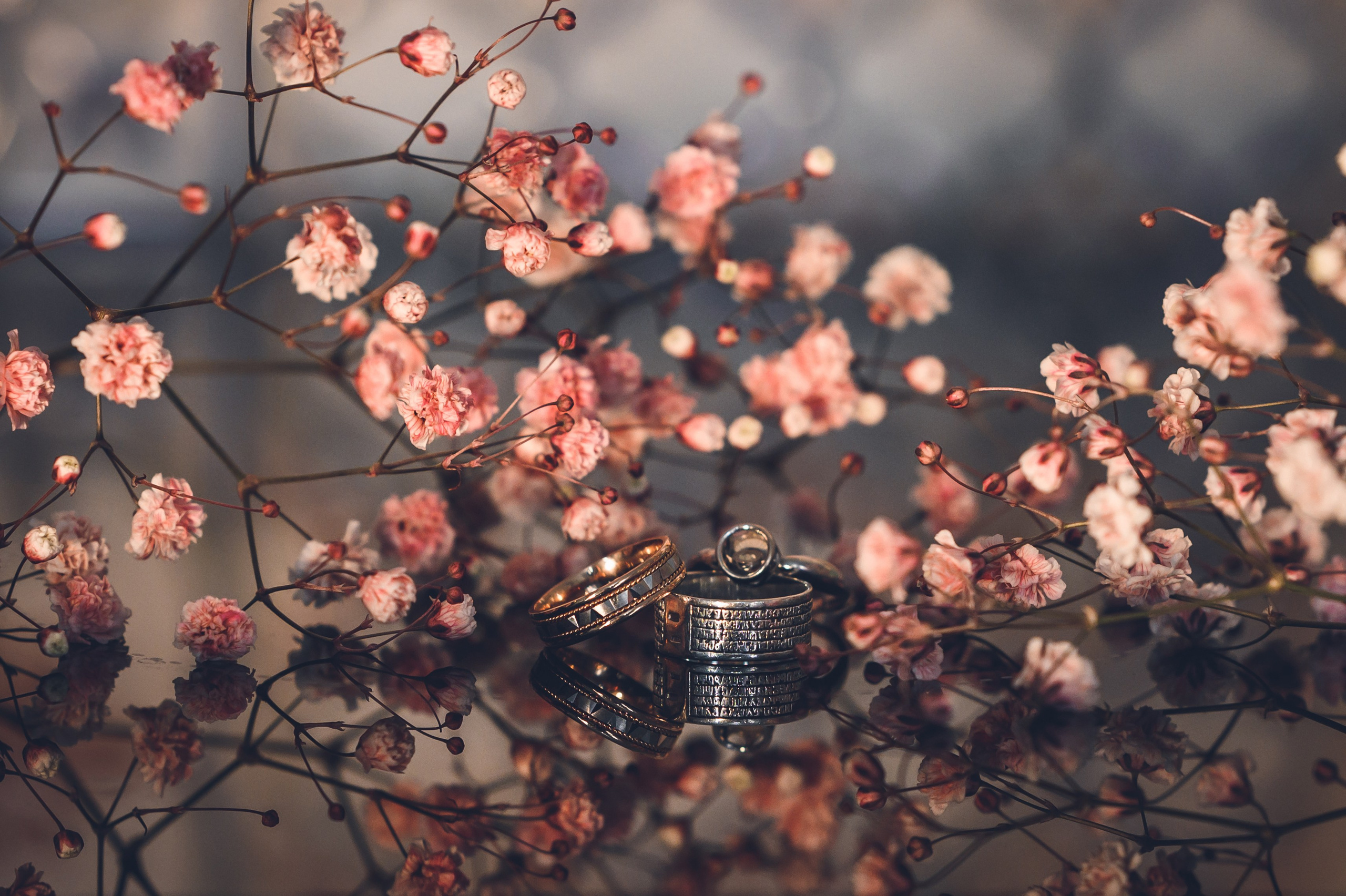 Свадьбы. Фотограф Светозар Андреев