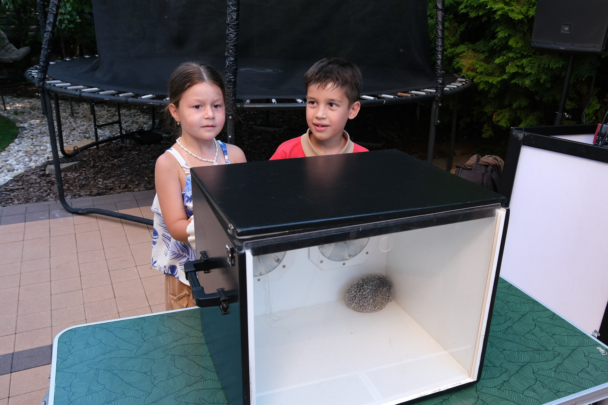 Фото и видео съемка мероприятия. Фото и видеосъемка