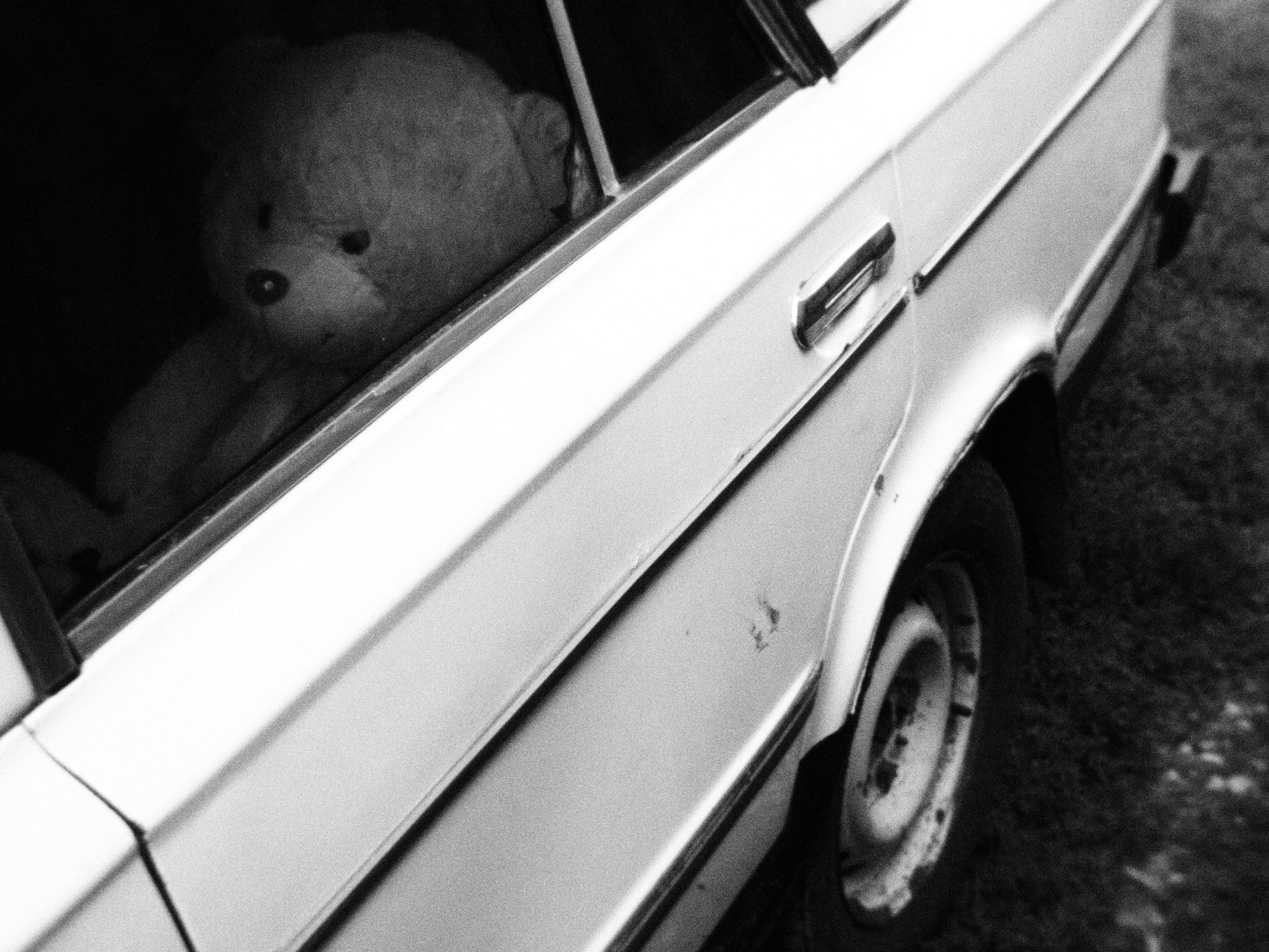 Промежуточные моменты (2023)