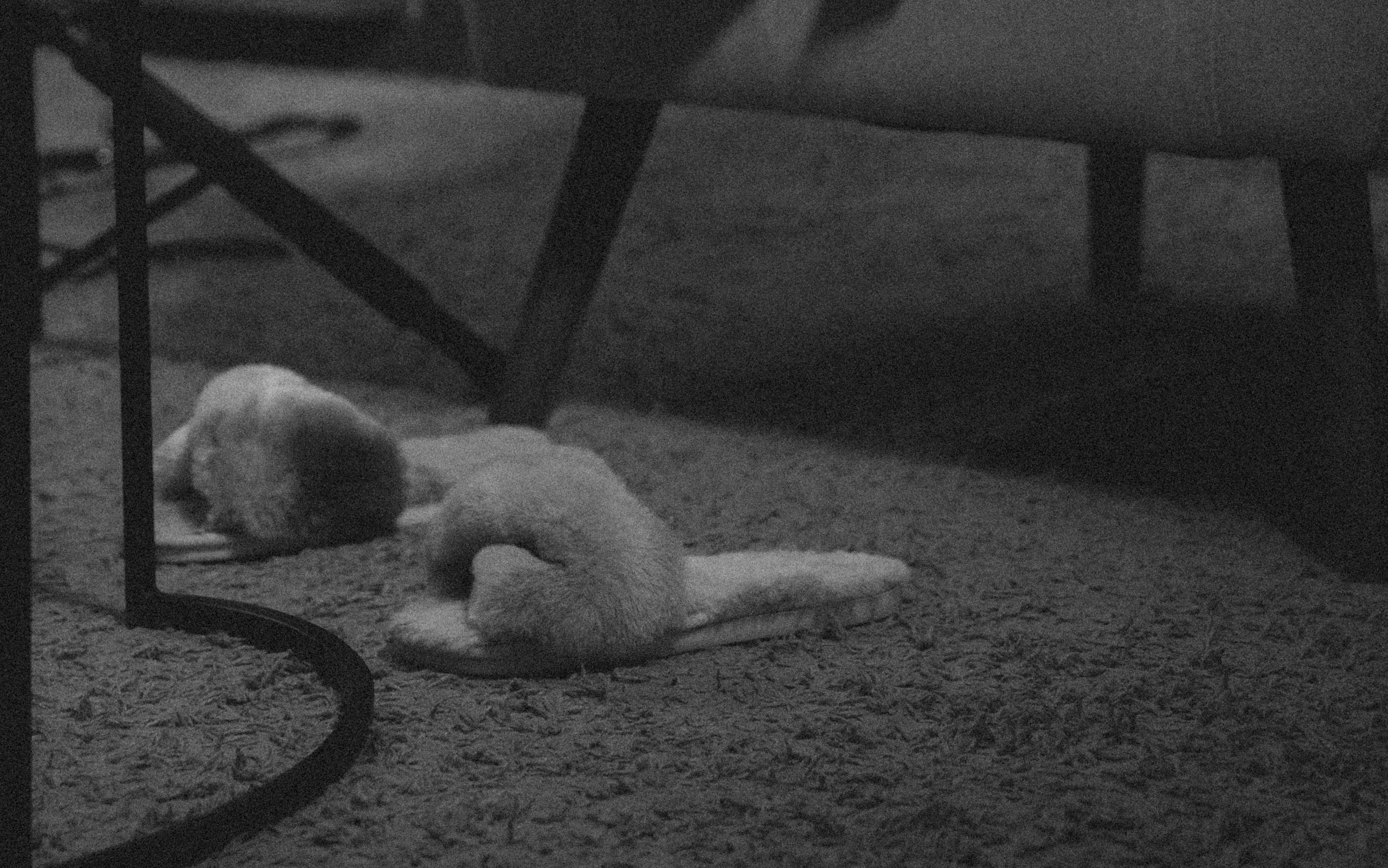 Подкаст Popeacedelly. Street и Lifestyle съёмки в Москве