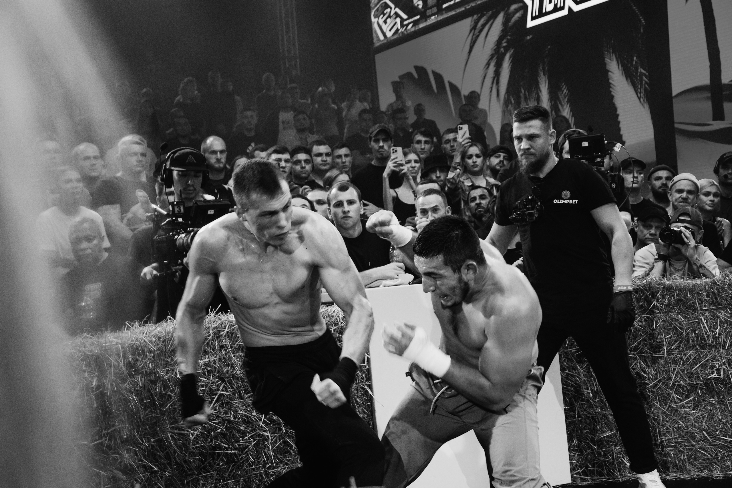 Кулачные бои TopDog. Анастасия Тен