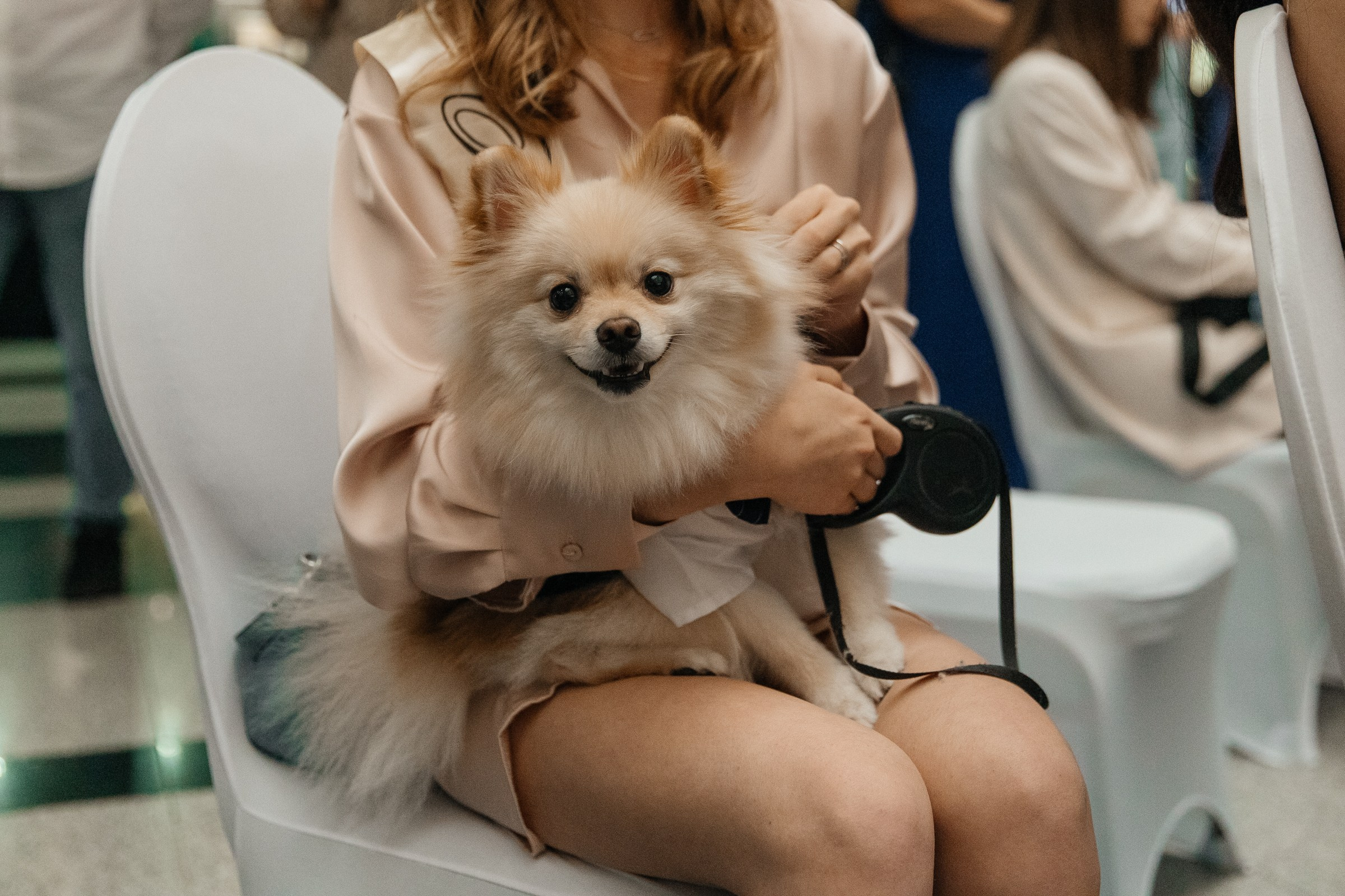 Сергей и Екатерина. Свадебный организатор координатор Екатеринбург Серов Дарья Окишева