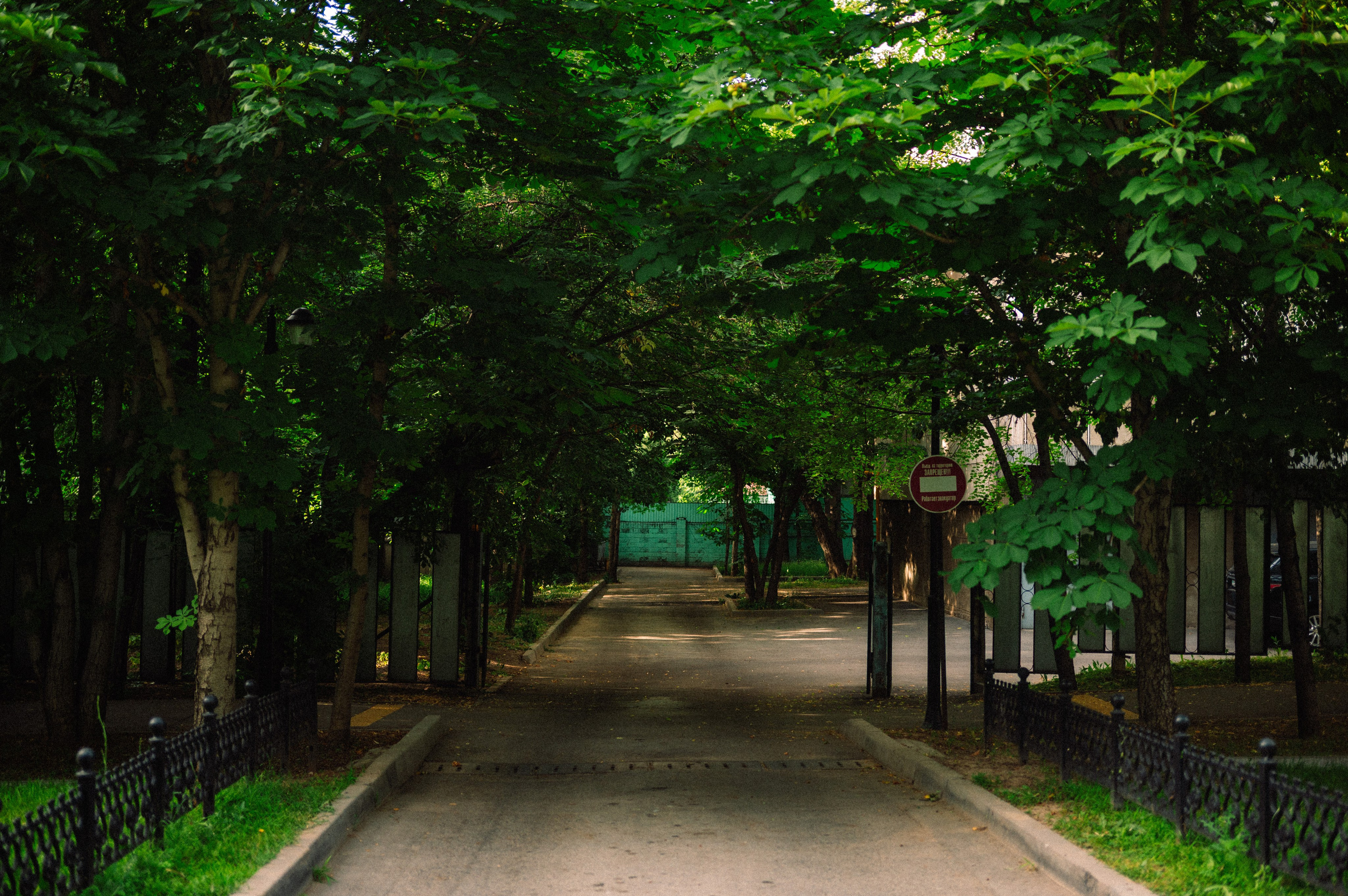 Стрит: Алматы, лето 2025. Фотограф в Алматы — Дарья Фёдорова